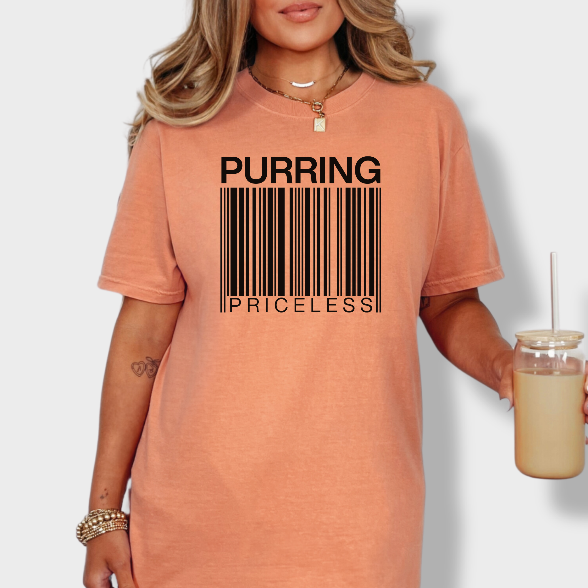 Modern Purring is Priceless Barcode Cat Graphic Comfort Colors T-Shirt in Terracotta-Fetch N Found