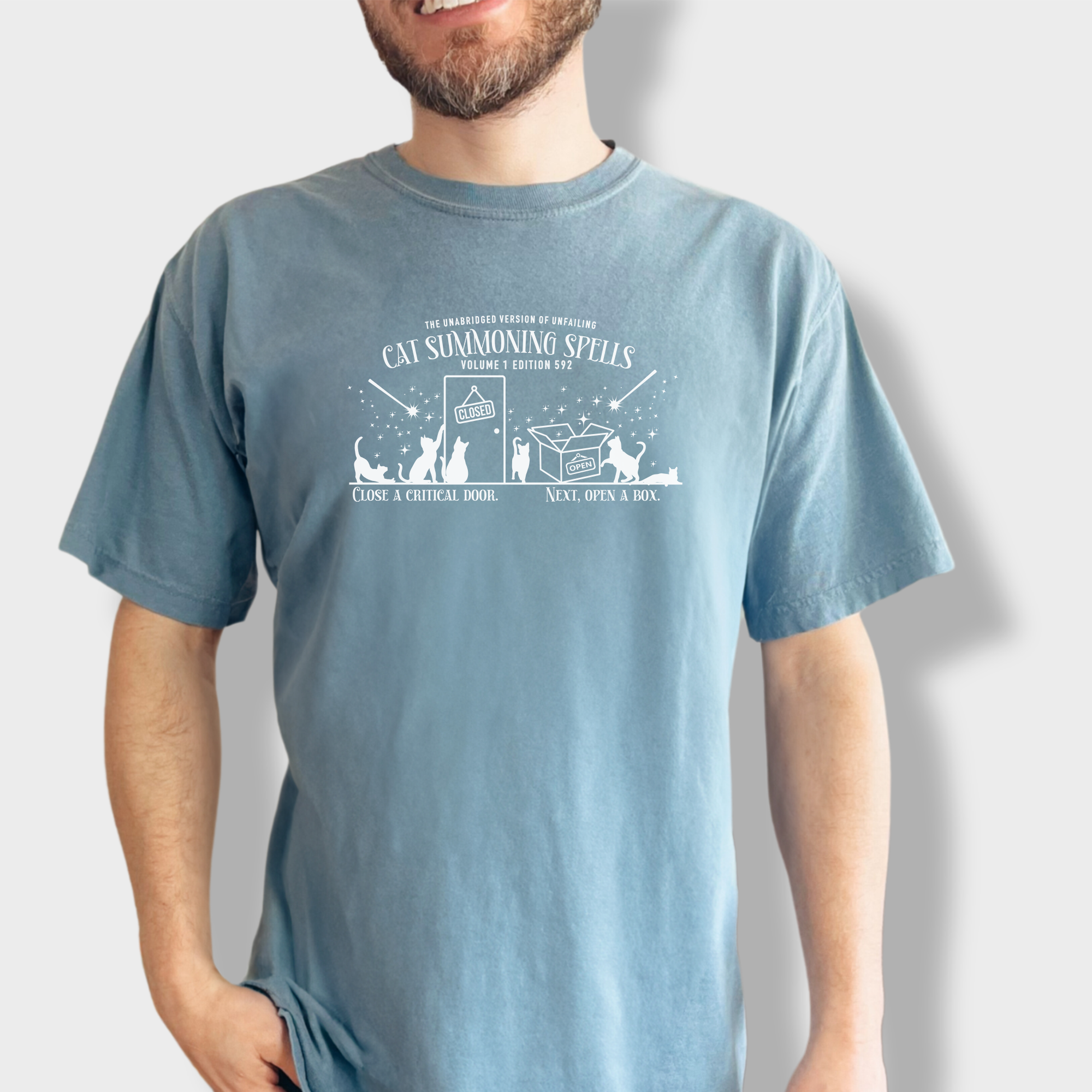 Whimsical minimalist cat lover's T-shirt featuring a spellbook titled 'Cat Summoning Spells' and magical wands attracting cats.