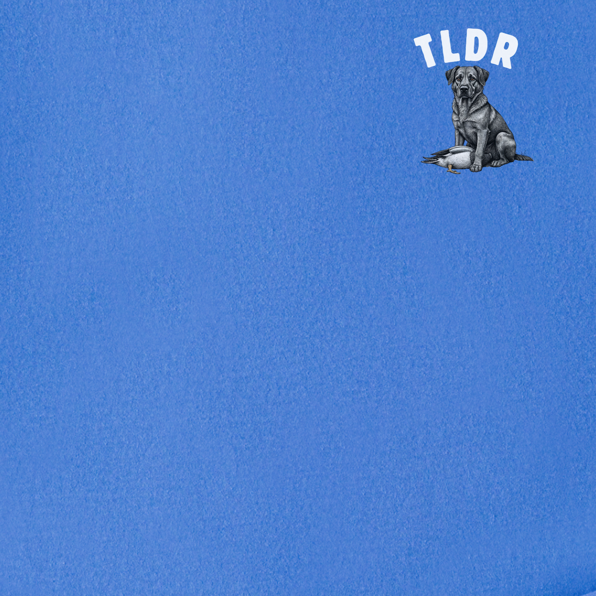 Line Art Too Long Didnt Read TLDR Dog Plus Duck Dog Graphic Comfort Colors T-Shirt in Flo Blue-T-Shirt-Fetch N Found