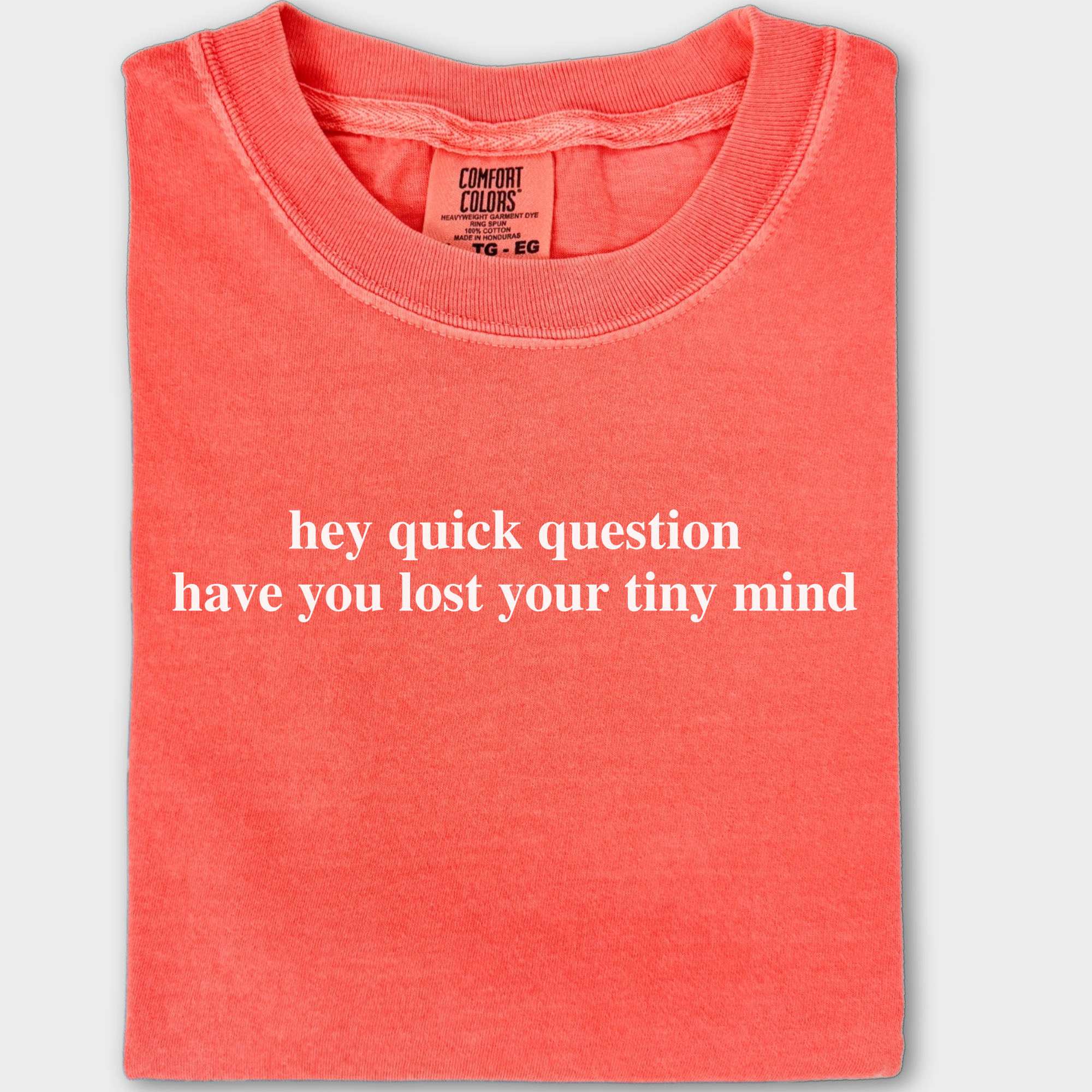 Modern Hey quick question TINY MIND Pet Text Comfort Colors T-Shirt in Bright Salmon-Fetch N Found