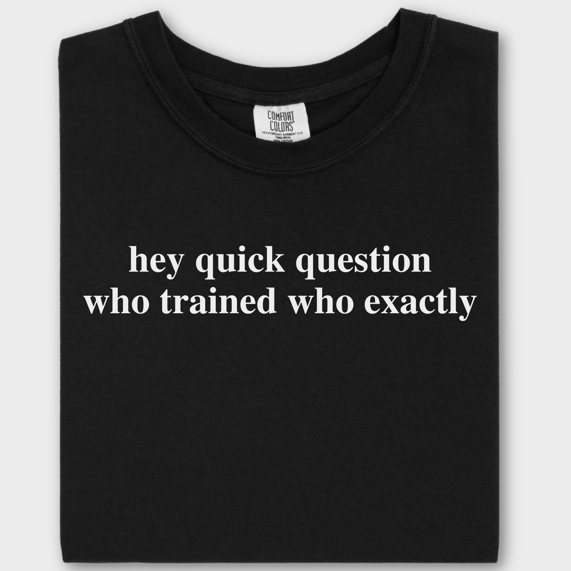 Modern Hey quick question TRAINING Pet Text Comfort Colors T-Shirt in Black-Fetch N Found