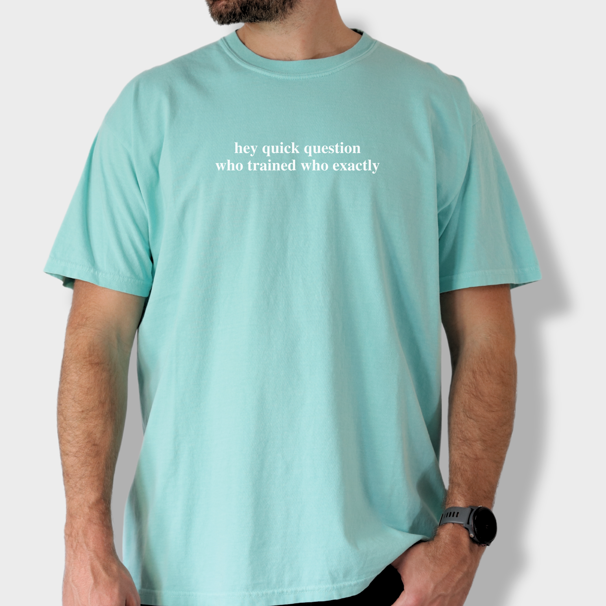 Modern Hey quick question TRAINING Pet Text Comfort Colors T-Shirt in Chalky Mint-Fetch N Found