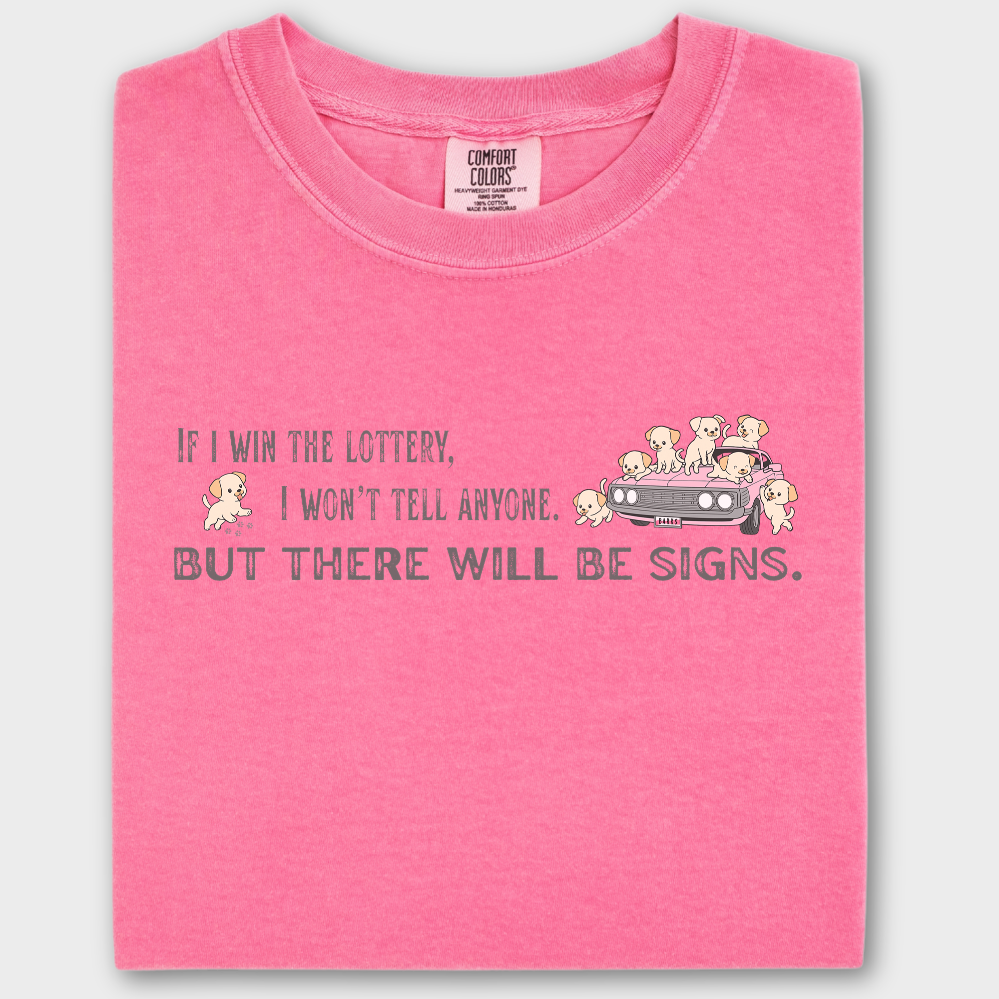 Retro If I Won The Lottery There Would Be Signs Dog Version Dog Graphic Comfort Colors T-Shirt in Crunchberry