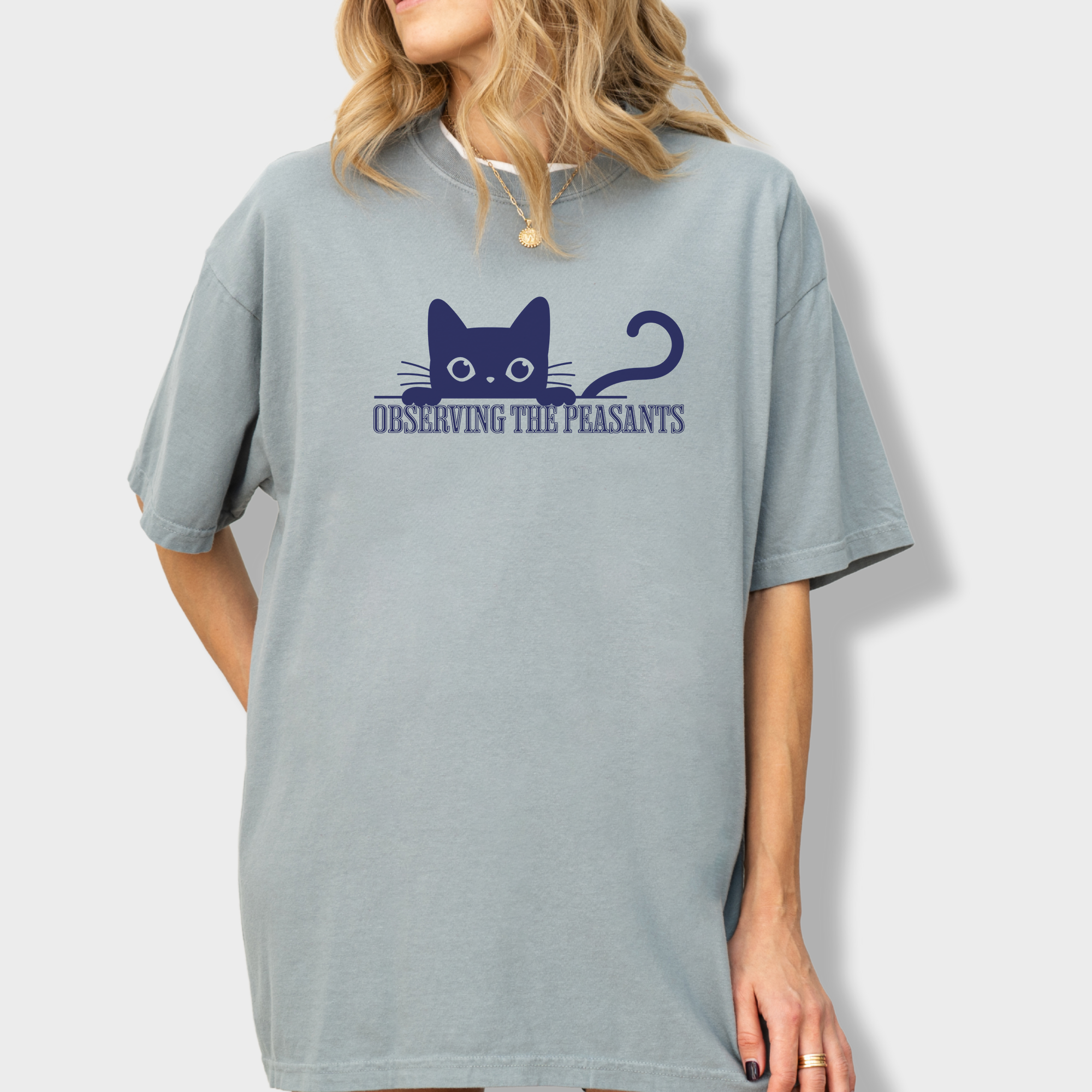 Minimalist Observing the Peasants Cat Graphic Comfort Colors T-Shirt in Granite-T-Shirt-Granite-Fetch N Found
