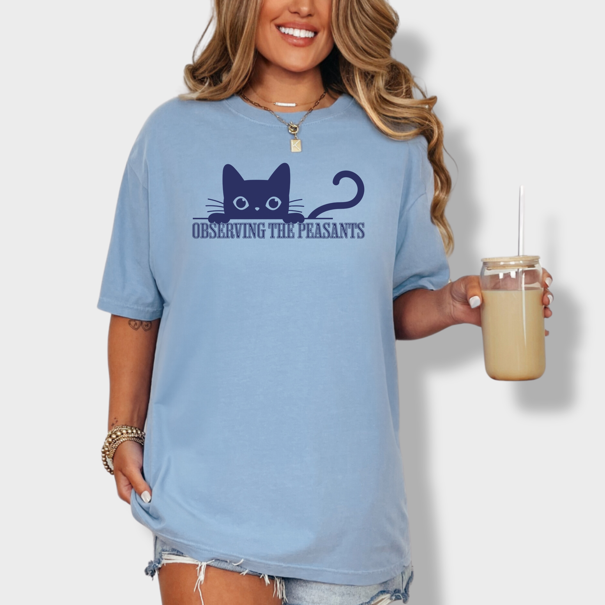 Minimalist Observing the Peasants Cat Graphic Comfort Colors T-Shirt in Washed Denim-T-Shirt-Washed Denim-Fetch N Found