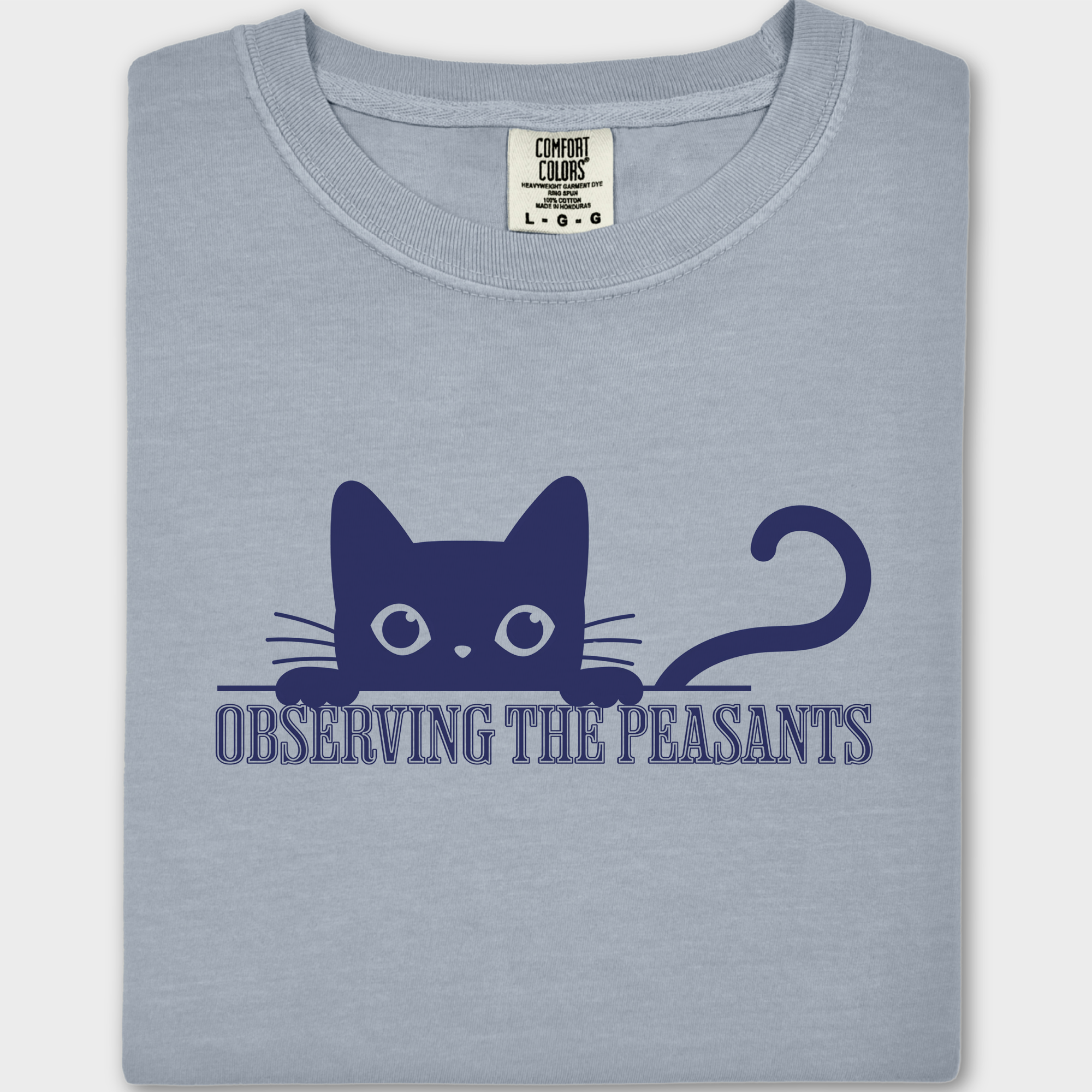 Minimalist Observing the Peasants Cat Graphic Comfort Colors T-Shirt in Granite-T-Shirt-Granite-Fetch N Found