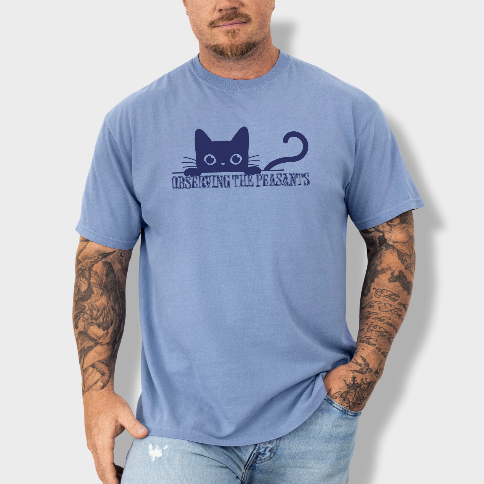 Minimalist Observing the Peasants Cat Graphic Comfort Colors T-Shirt in Washed Denim-T-Shirt-Washed Denim-Fetch N Found