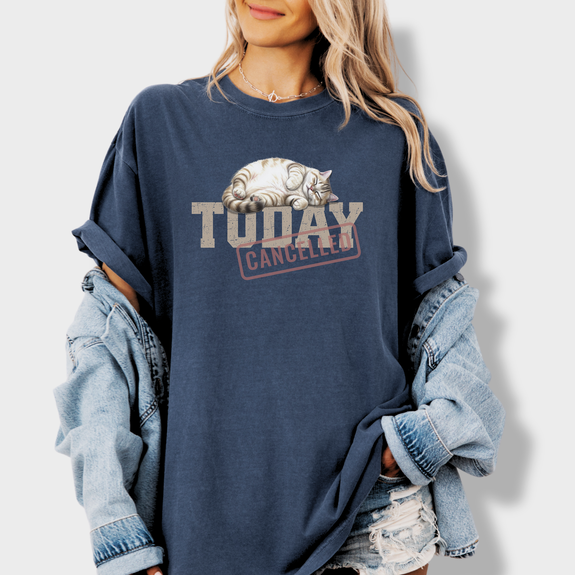 Line Art Today is Cancelled Cat Graphic Comfort Colors T-Shirt in Denim-T-Shirt-Denim-Fetch N Found