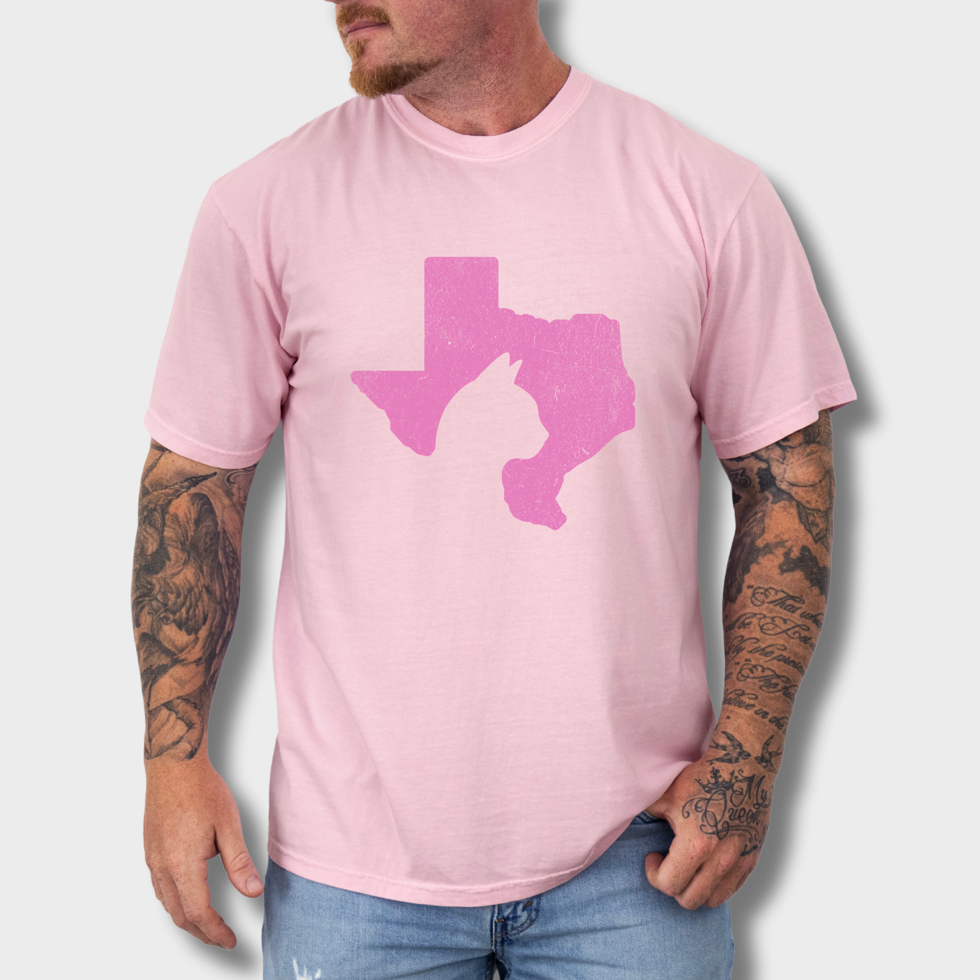 Minimalist Texas State Cat Lover Cat Graphic Comfort Colors T-Shirt in Blossom-T-Shirt-Blossom-Fetch N Found