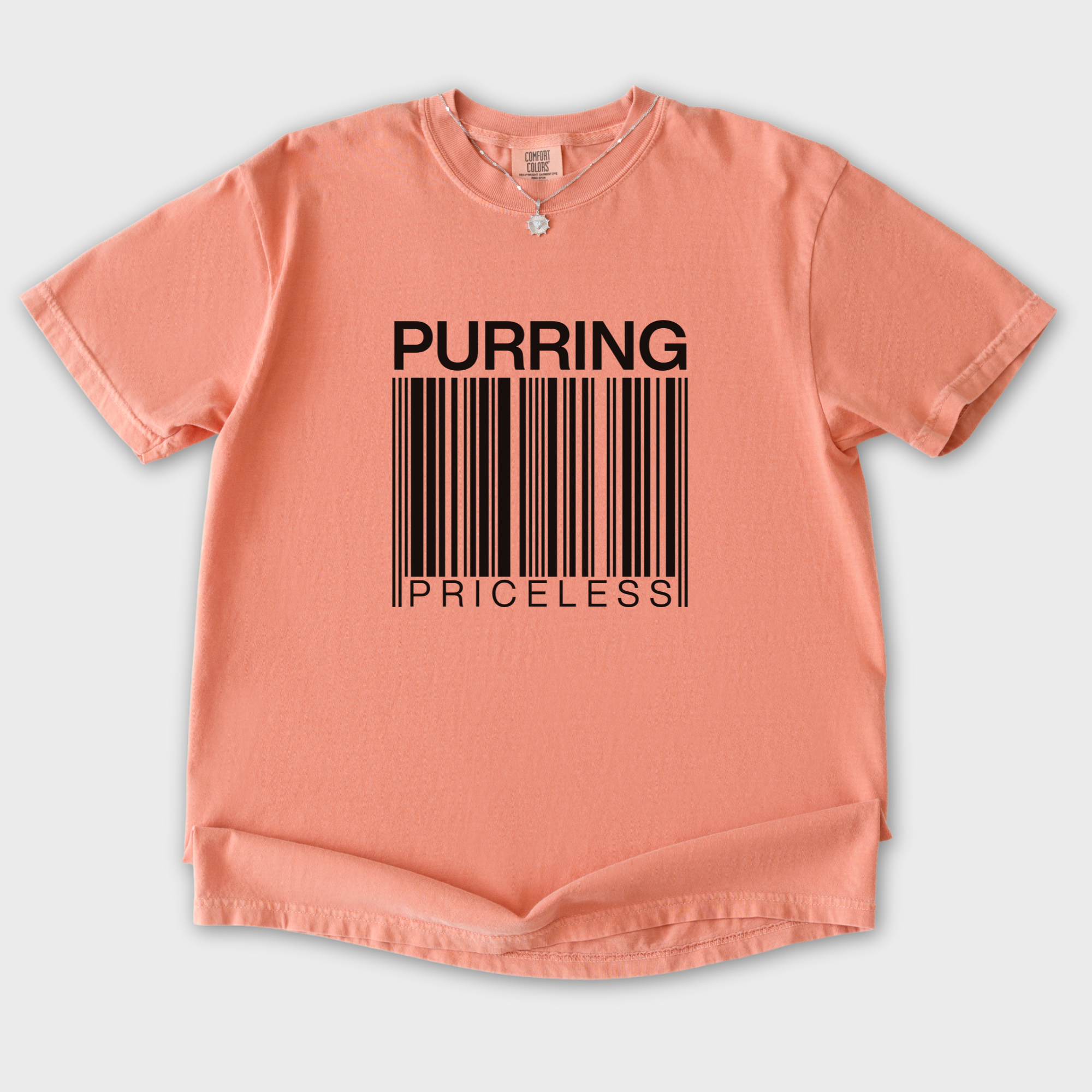 modern-purring-is-priceless-barcode-cat-graphic-comfort-colors-t-shirt-in-terracotta - Terracotta Flat Lay Front