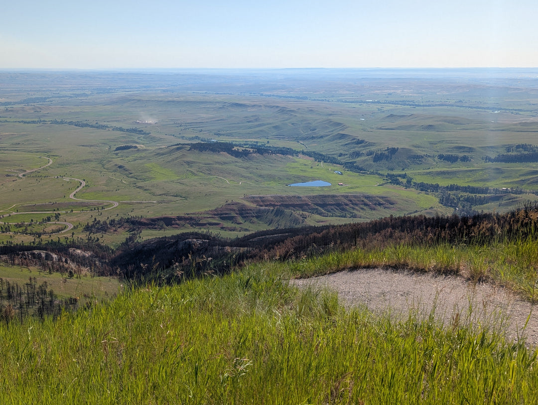 Confession: I'm That Person Who...