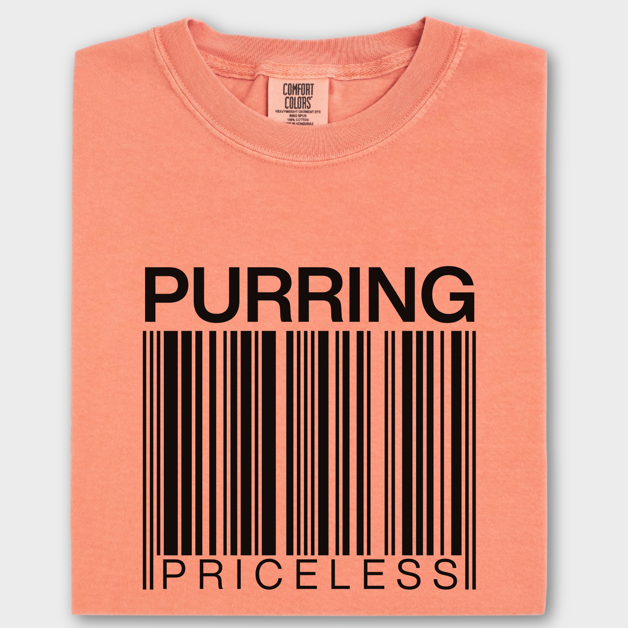 Modern Purring is Priceless Barcode Cat Graphic Comfort Colors T-Shirt in Terracotta-Fetch N Found