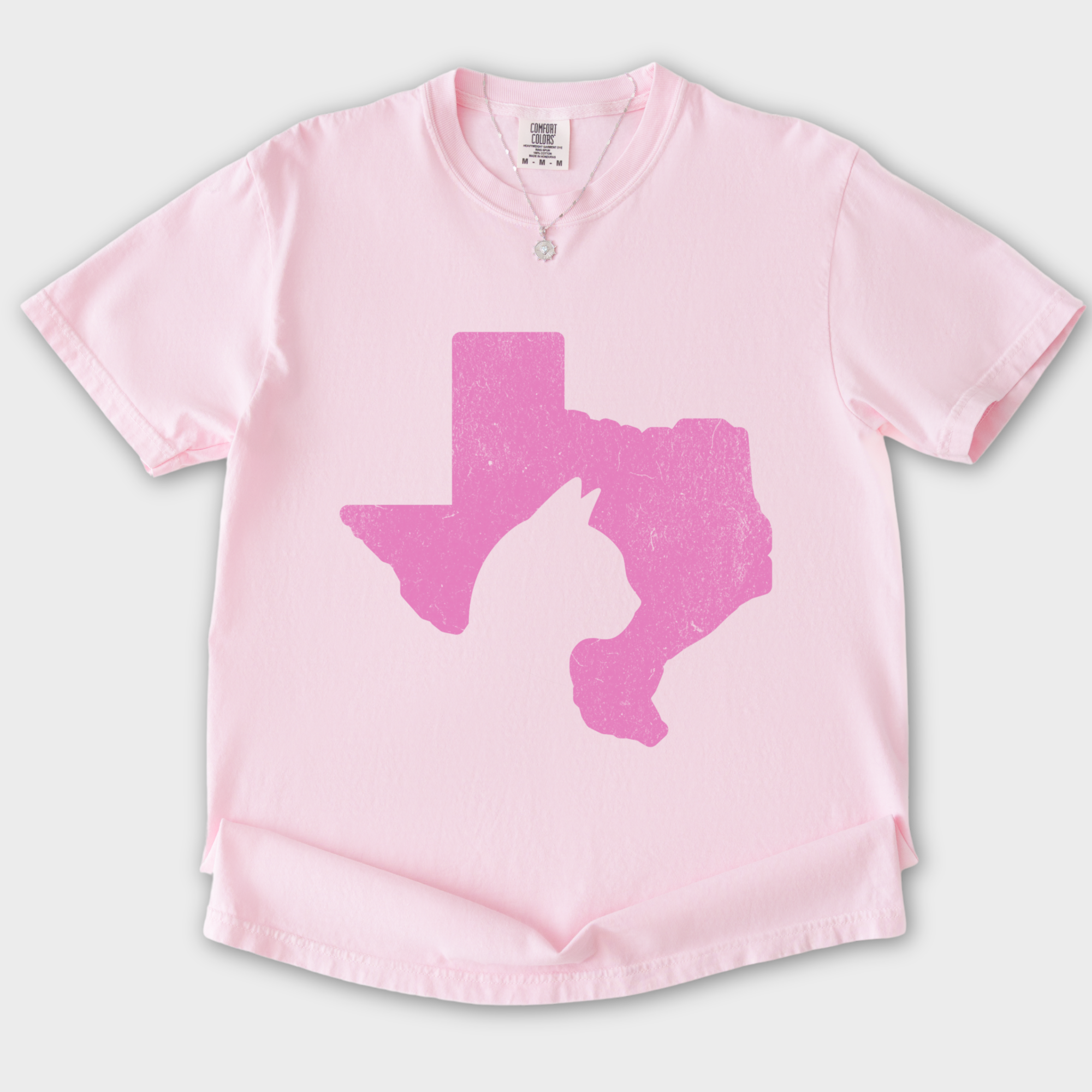 Minimalist Texas State Cat Lover Cat Graphic Comfort Colors T-Shirt in Blossom-T-Shirt-Blossom-S-Fetch N Found