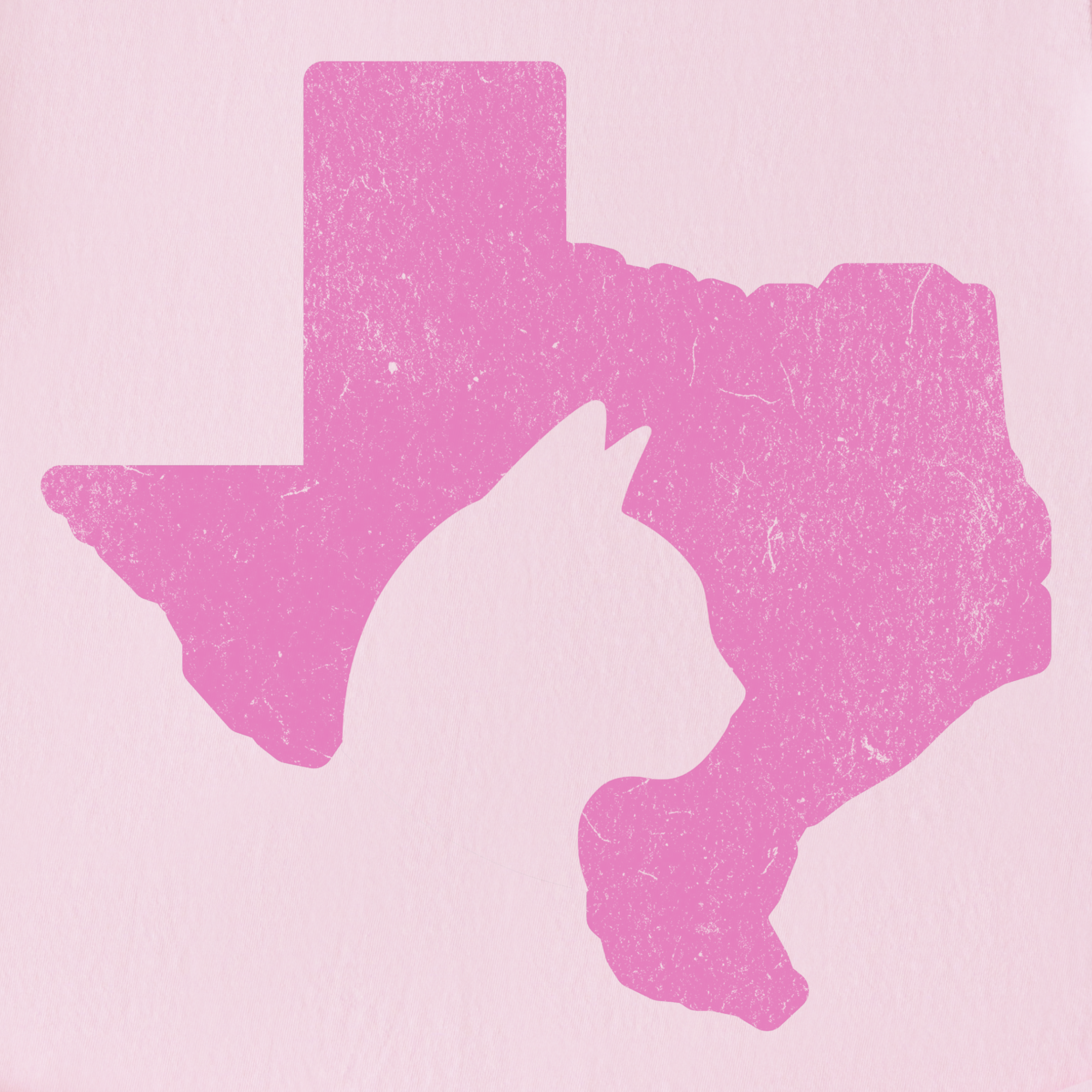 Minimalist Texas State Cat Lover Cat Graphic Comfort Colors T-Shirt in Blossom-T-Shirt-Fetch N Found
