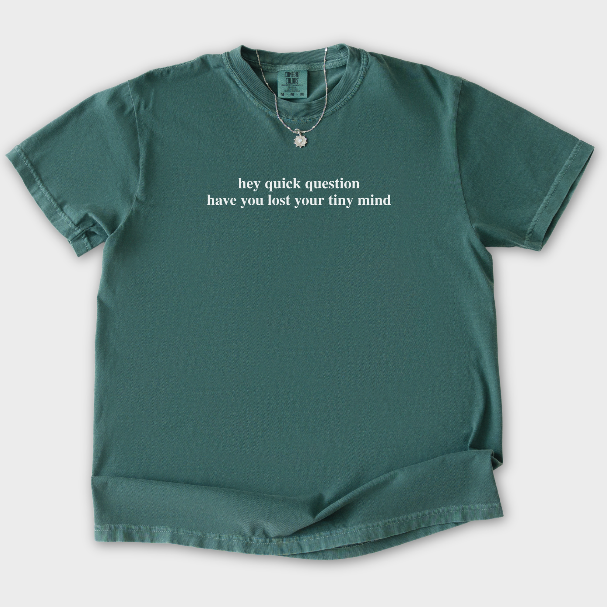 Modern Hey quick question TINY MIND Pet Text Comfort Colors T-Shirt in Blue Spruce
