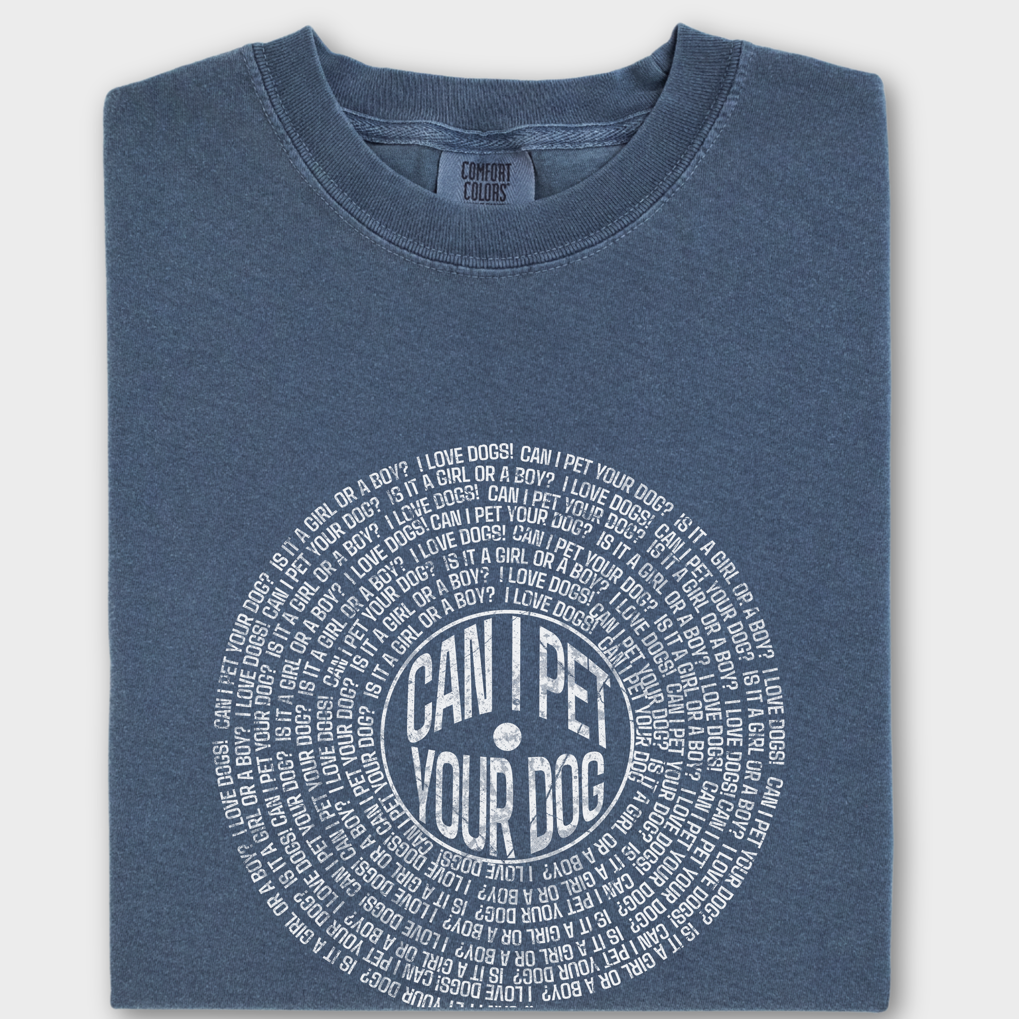 Vintage Can I Pet Your Dog Analog Record Song Dog Graphic Comfort Colors T-Shirt in Denim-T-Shirt-Denim-Fetch N Found