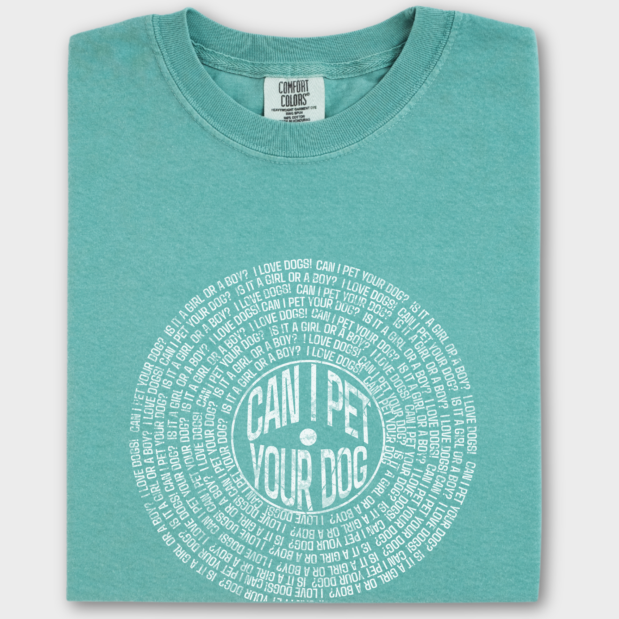Vintage Can I Pet Your Dog Analog Record Song Dog Graphic Comfort Colors T-Shirt in Seafoam-T-Shirt-Seafoam-Fetch N Found