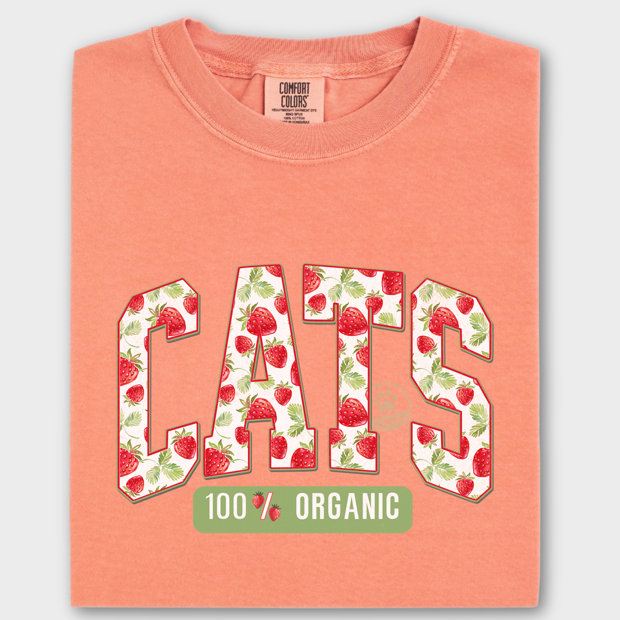 Floral Vintage Strawberry Market CATS Organic Cat Text Comfort Colors T-Shirt in Terracotta-T-Shirt-Terracotta-Fetch N Found