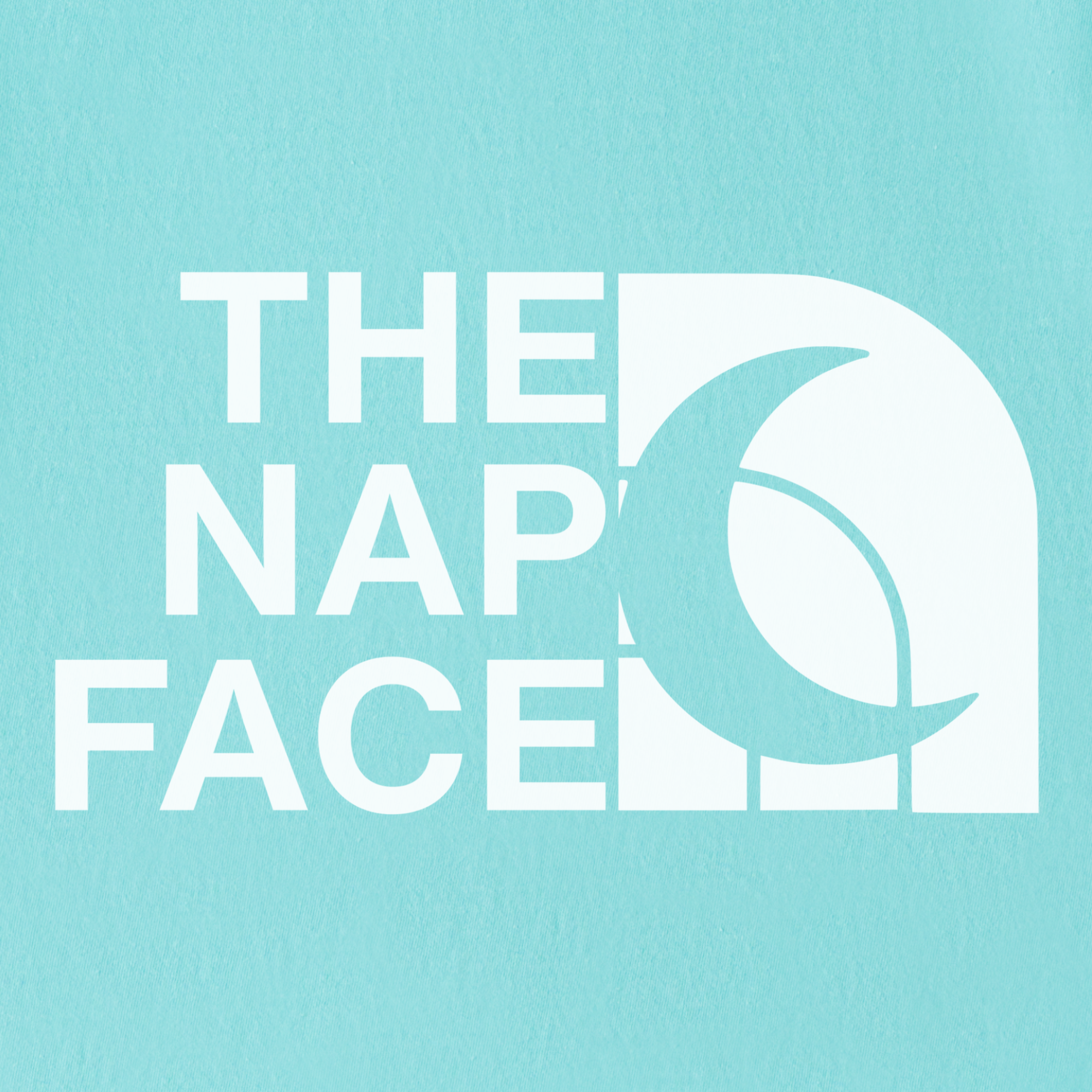 Modern The Nap Face Pet Text Comfort Colors T-Shirt in Chalky Mint