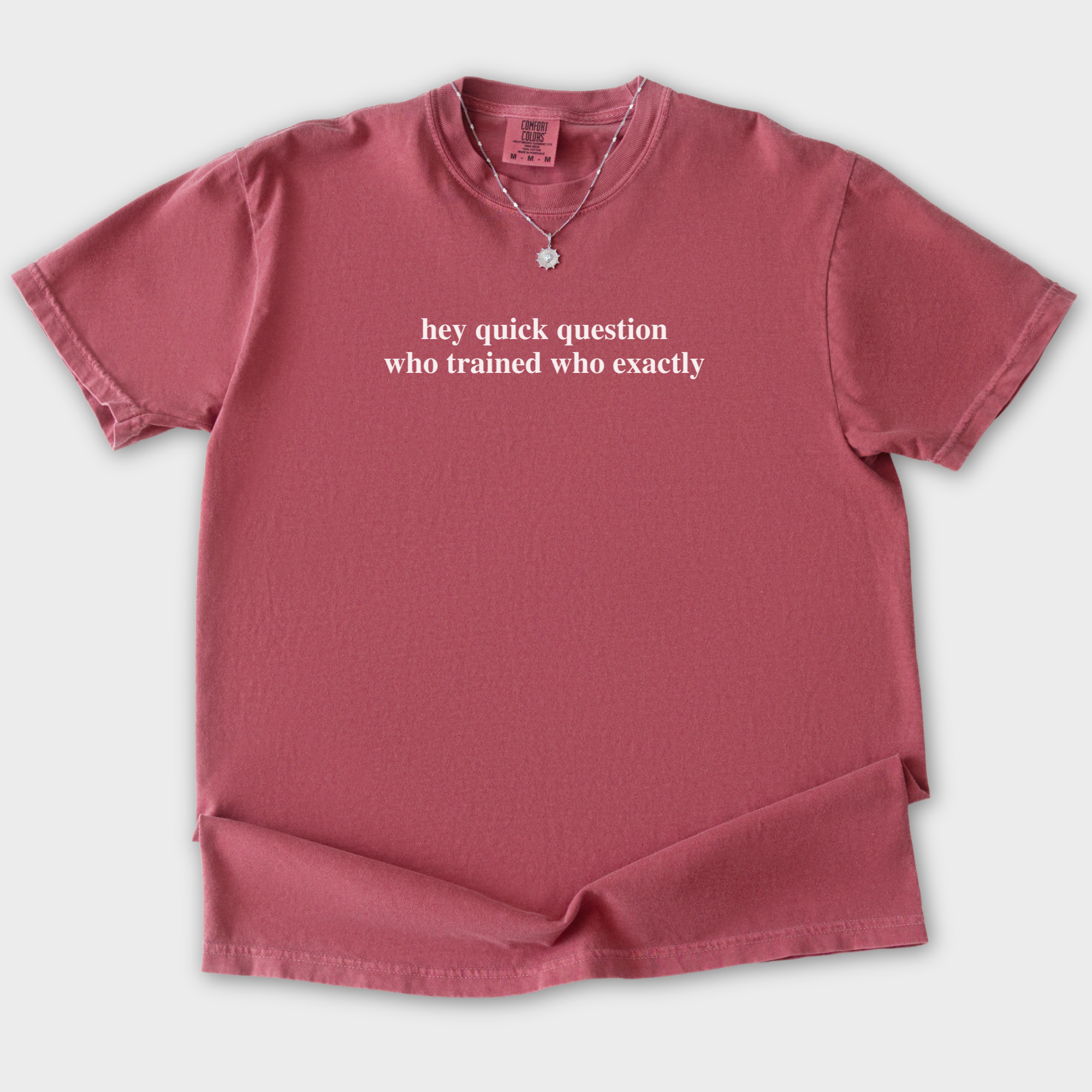 Modern Hey quick question TRAINING Pet Text Comfort Colors T-Shirt in Crimson