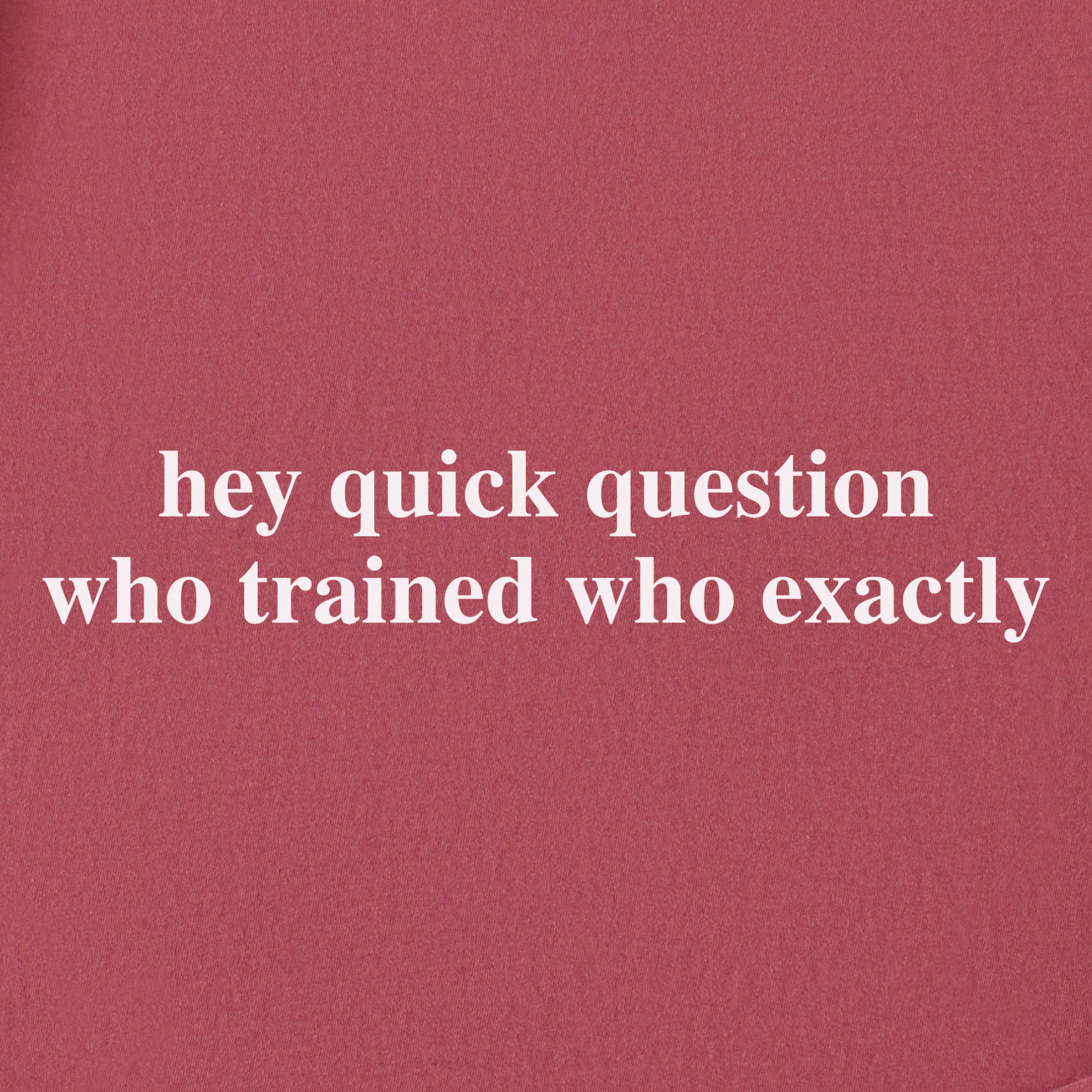 Modern Hey quick question TRAINING Pet Text Comfort Colors T-Shirt in Crimson