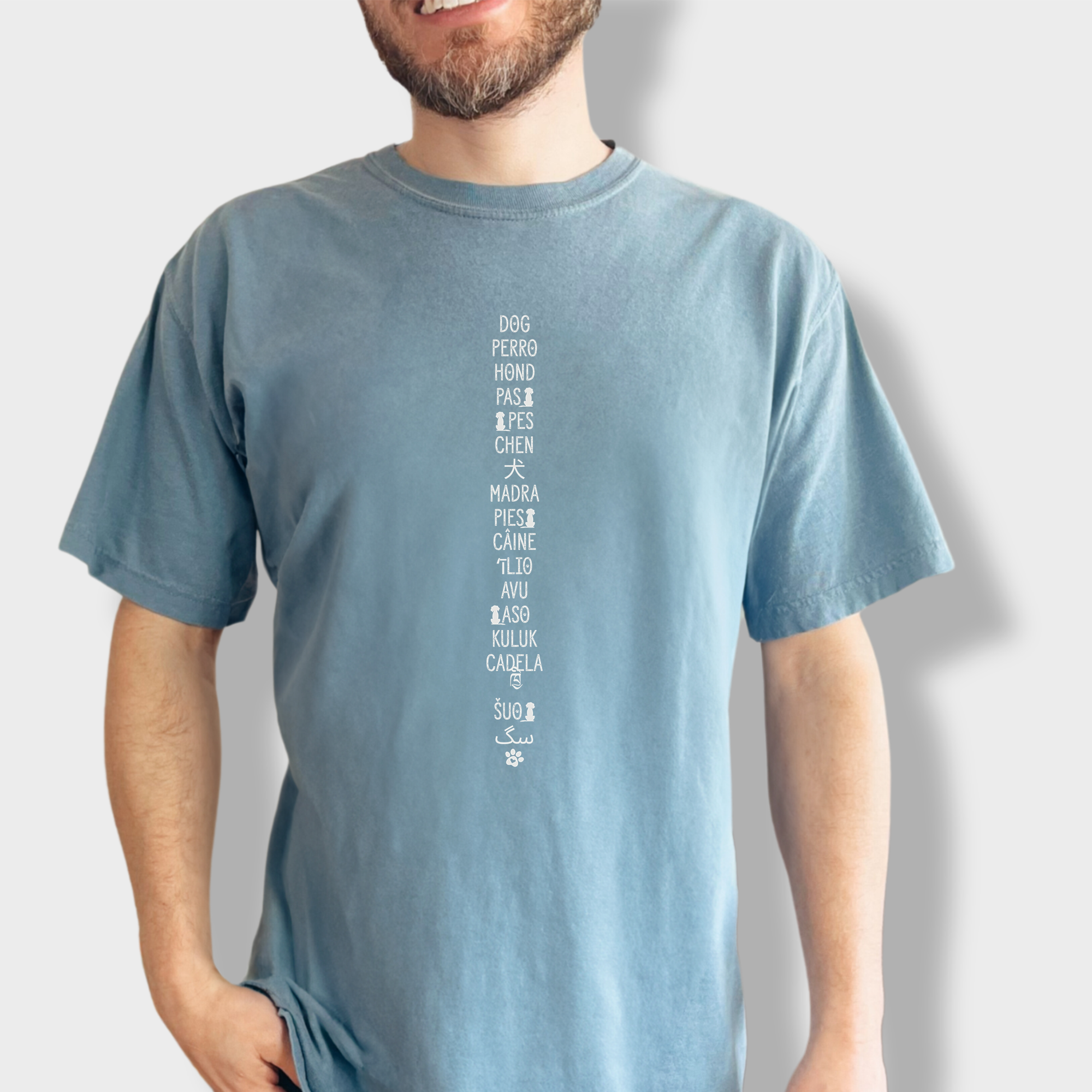 DOG In Many Languages Graphic Comfort Colors T-Shirt in Ice Blue-T-Shirt-Ice Blue-Fetch N Found