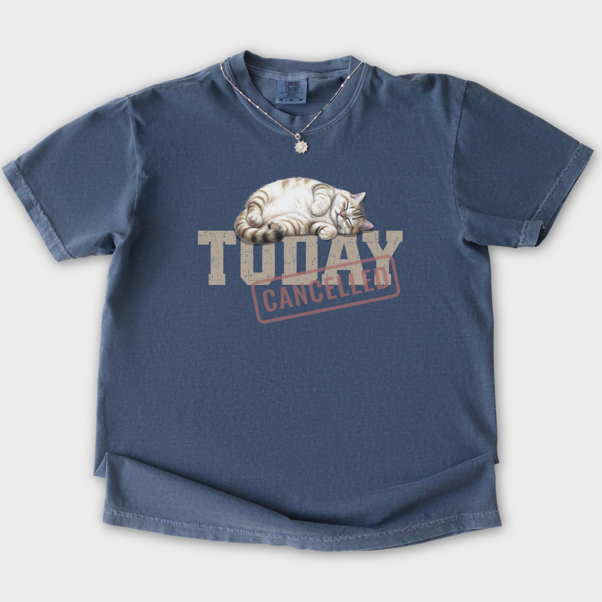 Line Art Today is Cancelled Cat Graphic Comfort Colors T-Shirt in Denim-T-Shirt-Denim-S-Fetch N Found
