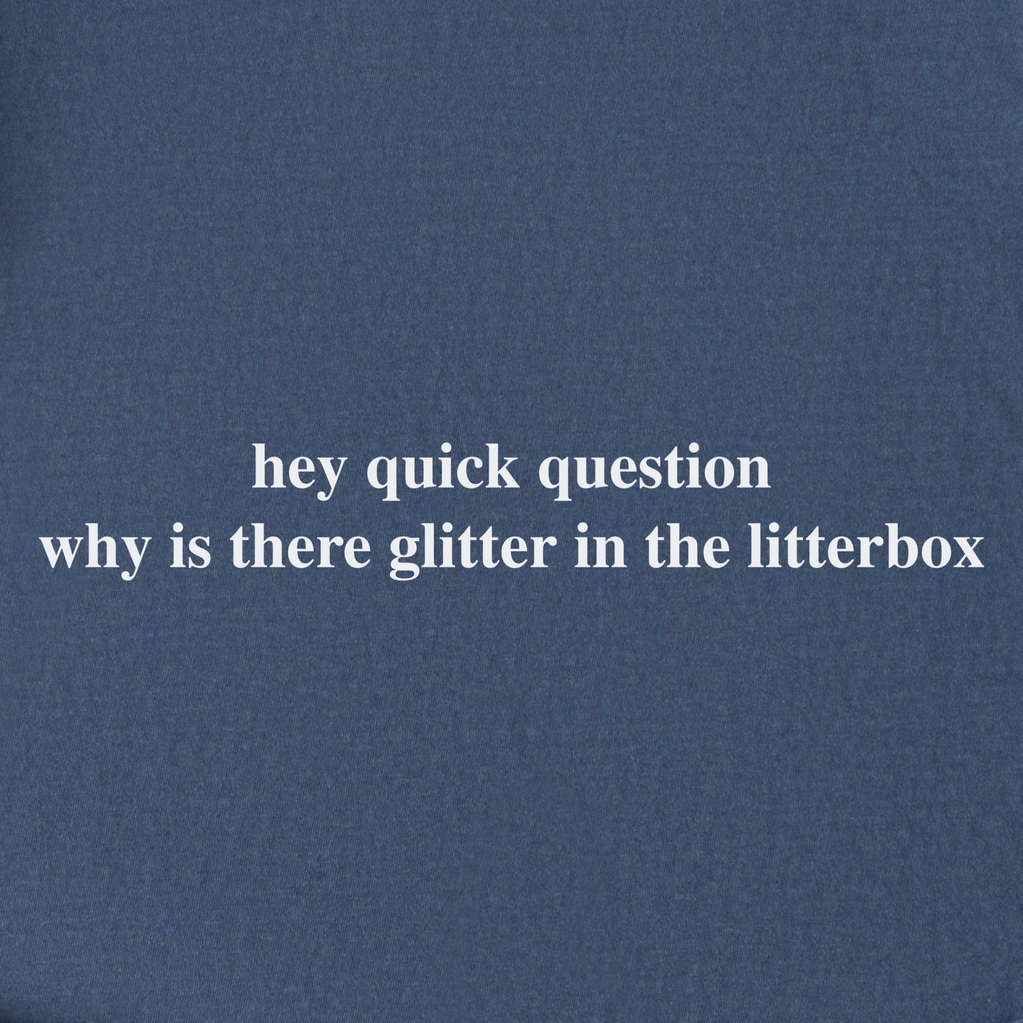Modern Hey quick question GLITTER Pet Text Comfort Colors T-Shirt in Denim