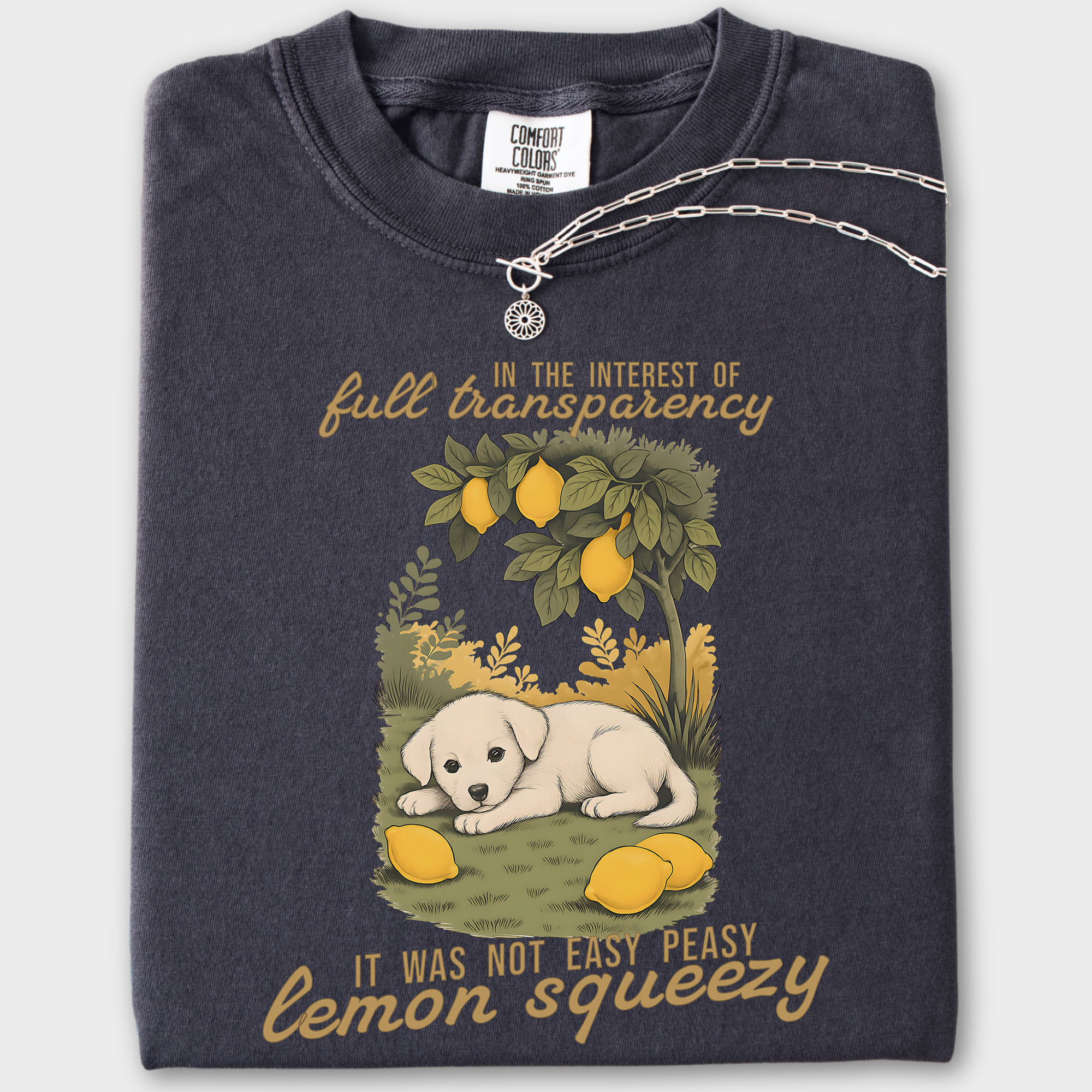 Vintage Not So Easy Lemon Squeezy Dog Dog Graphic Comfort Colors T-Shirt in Graphite-T-Shirt-Graphite-Fetch N Found