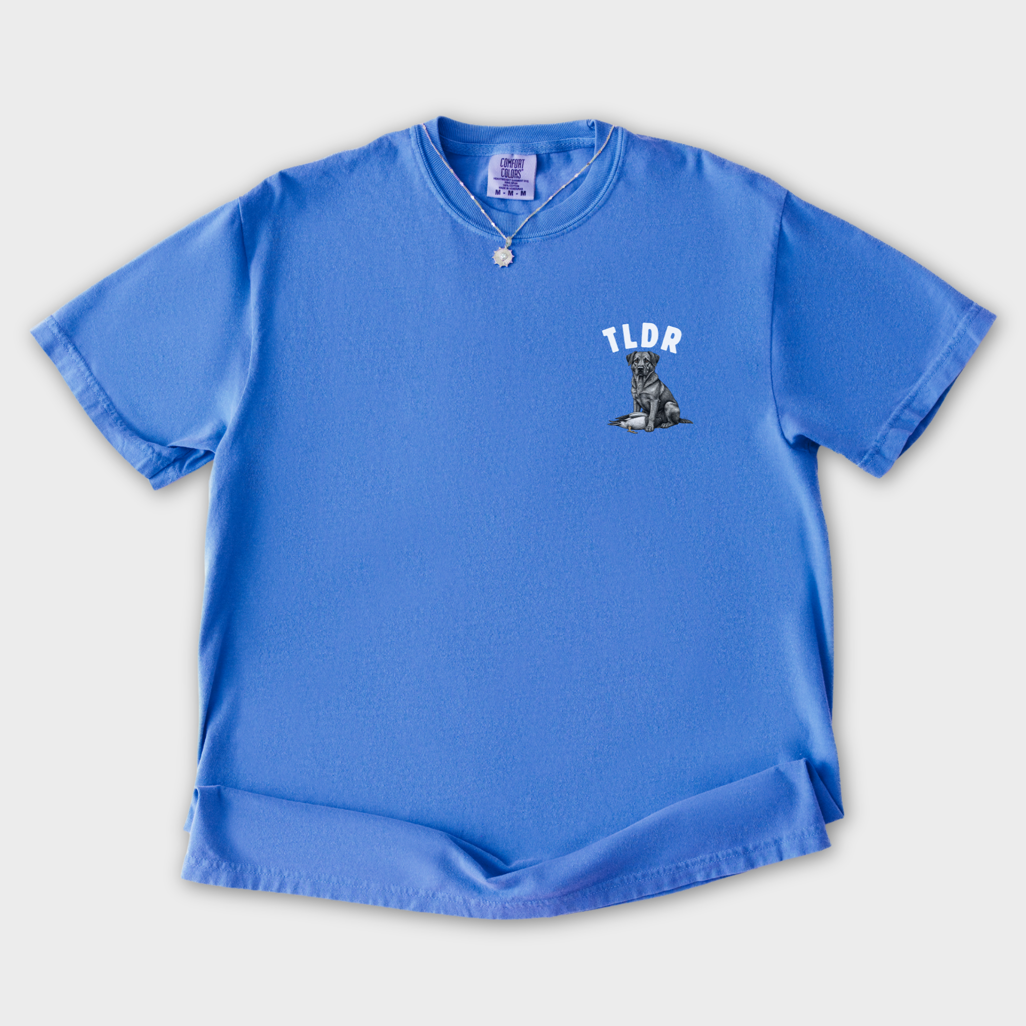 Line Art Too Long Didnt Read TLDR Dog Plus Duck Dog Graphic Comfort Colors T-Shirt in Flo Blue-T-Shirt-Flo Blue-S-Fetch N Found