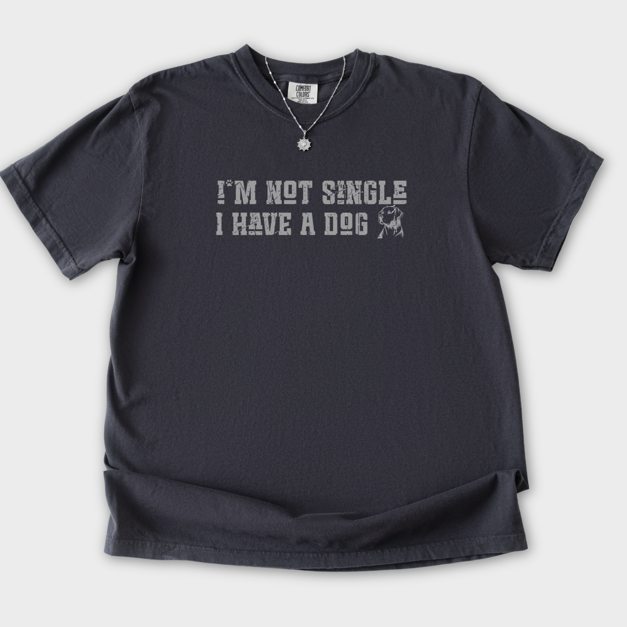 Retro I'm Not Single Dog Minimalist Comfort Colors T-Shirt in Graphite