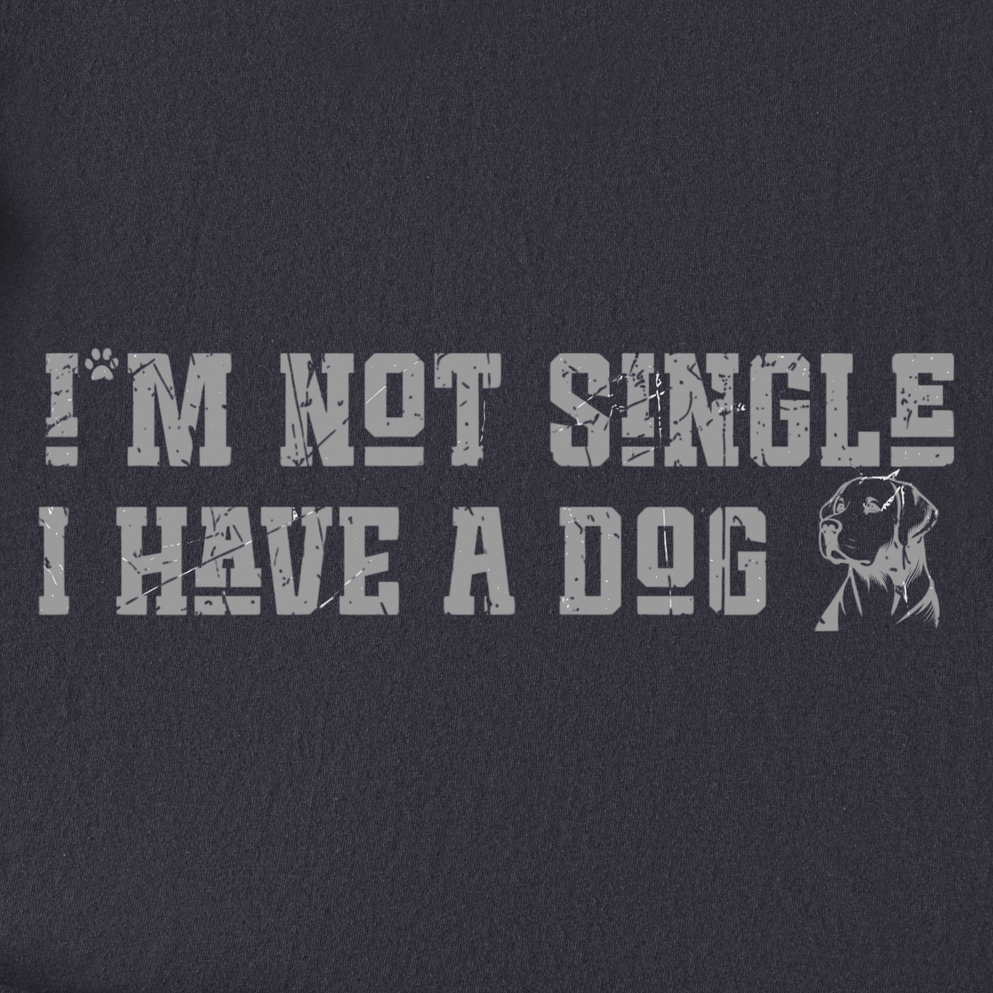 Retro I'm Not Single Dog Minimalist Comfort Colors T-Shirt in Graphite