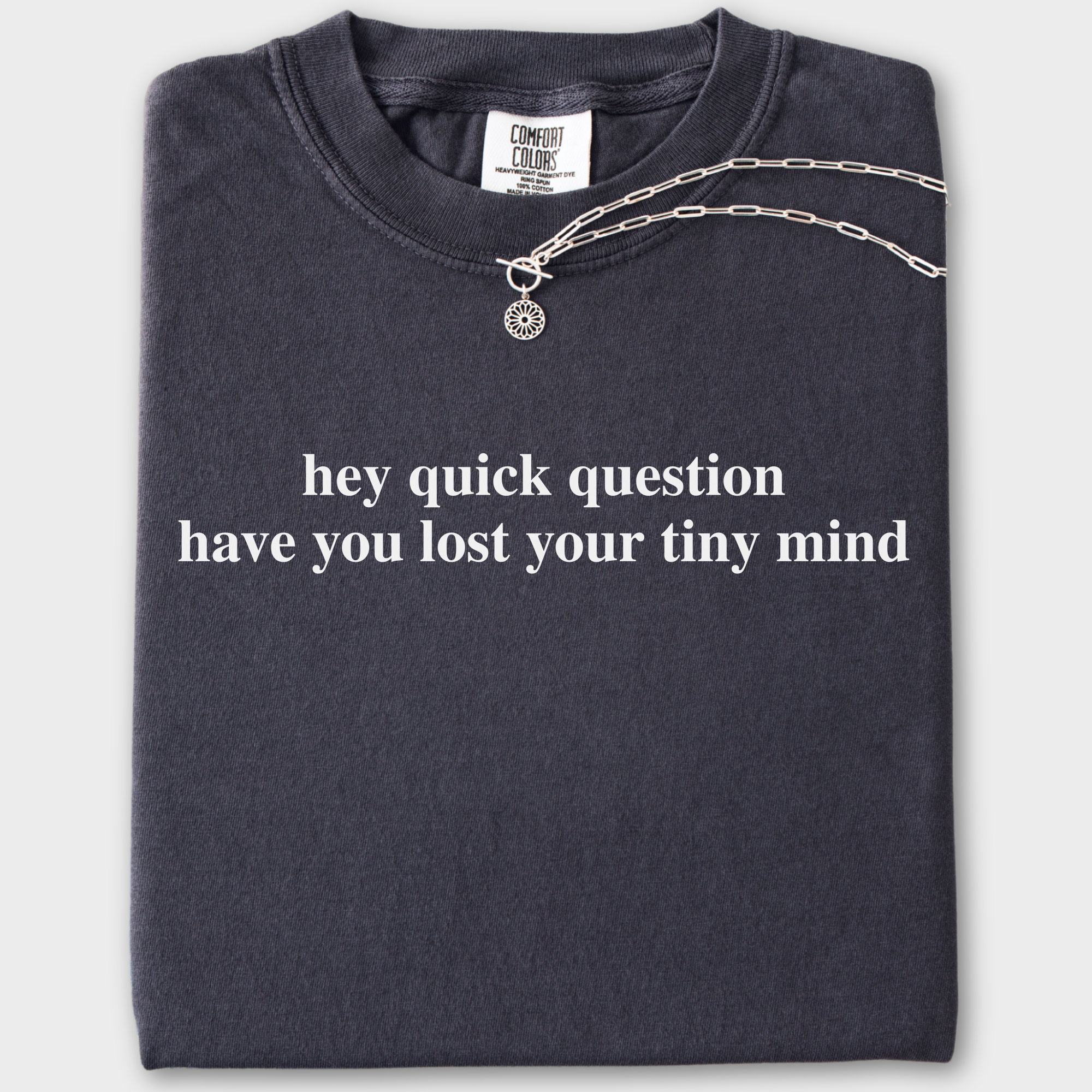 Modern Hey quick question TINY MIND Pet Text Comfort Colors T-Shirt in Graphite-Fetch N Found