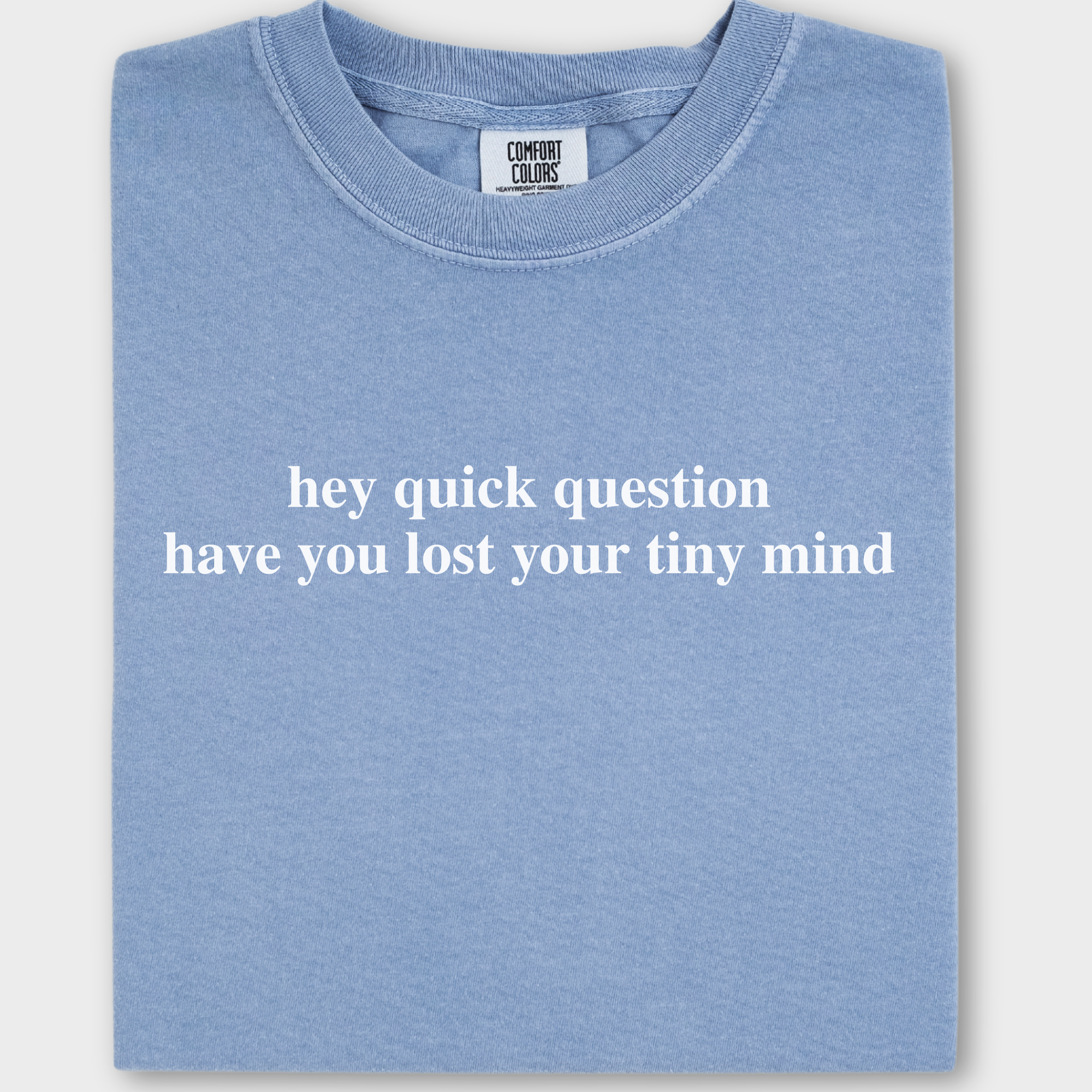 Modern Hey quick question TINY MIND Pet Text Comfort Colors T-Shirt in Washed Denim-Fetch N Found