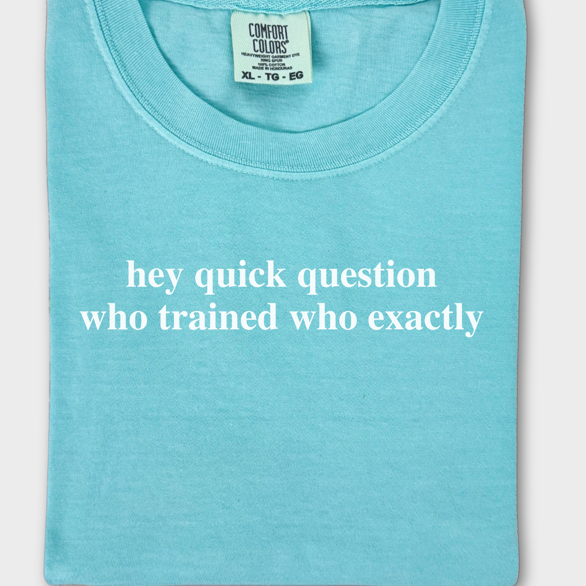 Modern Hey quick question TRAINING Pet Text Comfort Colors T-Shirt in Chalky Mint-Fetch N Found
