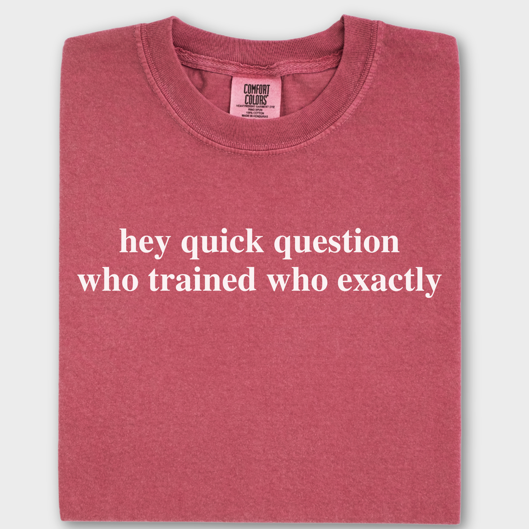 Modern Hey quick question TRAINING Pet Text Comfort Colors T-Shirt in Crimson-Fetch N Found