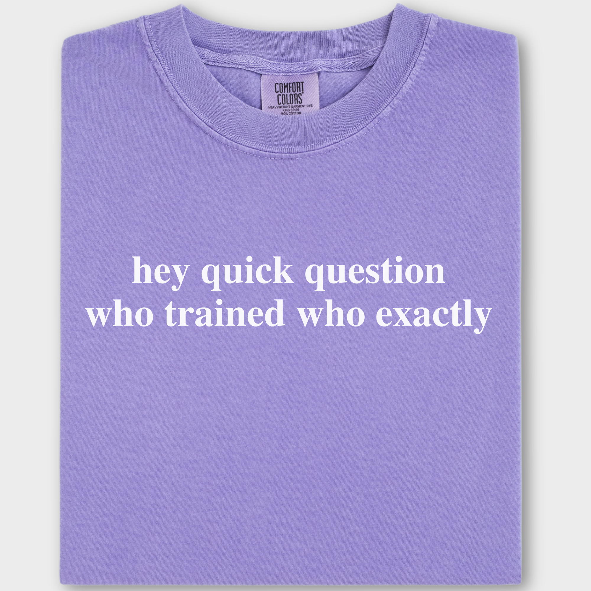 Modern Hey quick question TRAINING Pet Text Comfort Colors T-Shirt in Violet-Fetch N Found