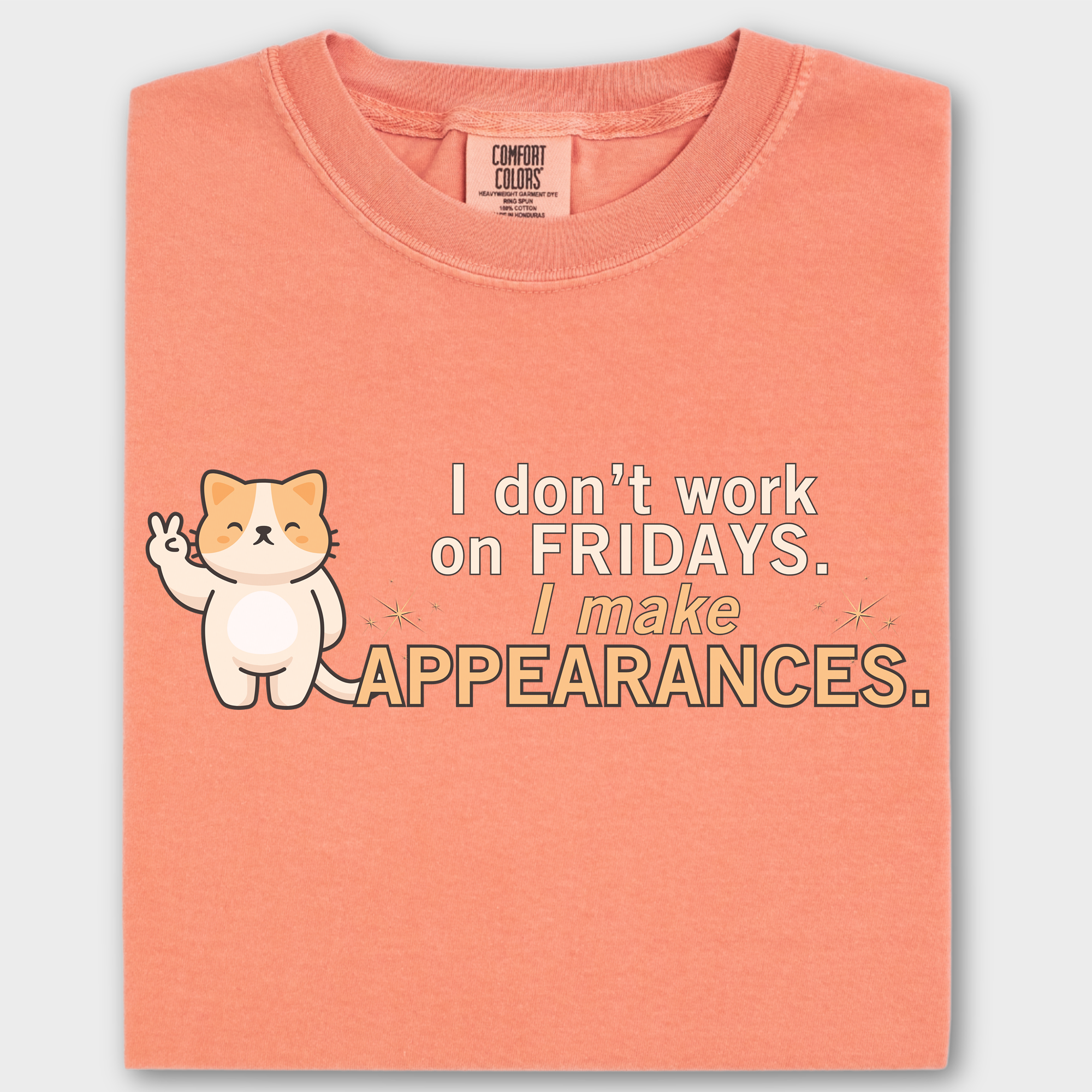 Retro I Don't Work on Fridays Cat Graphic Comfort Colors T-Shirt in Terracotta-Fetch N Found