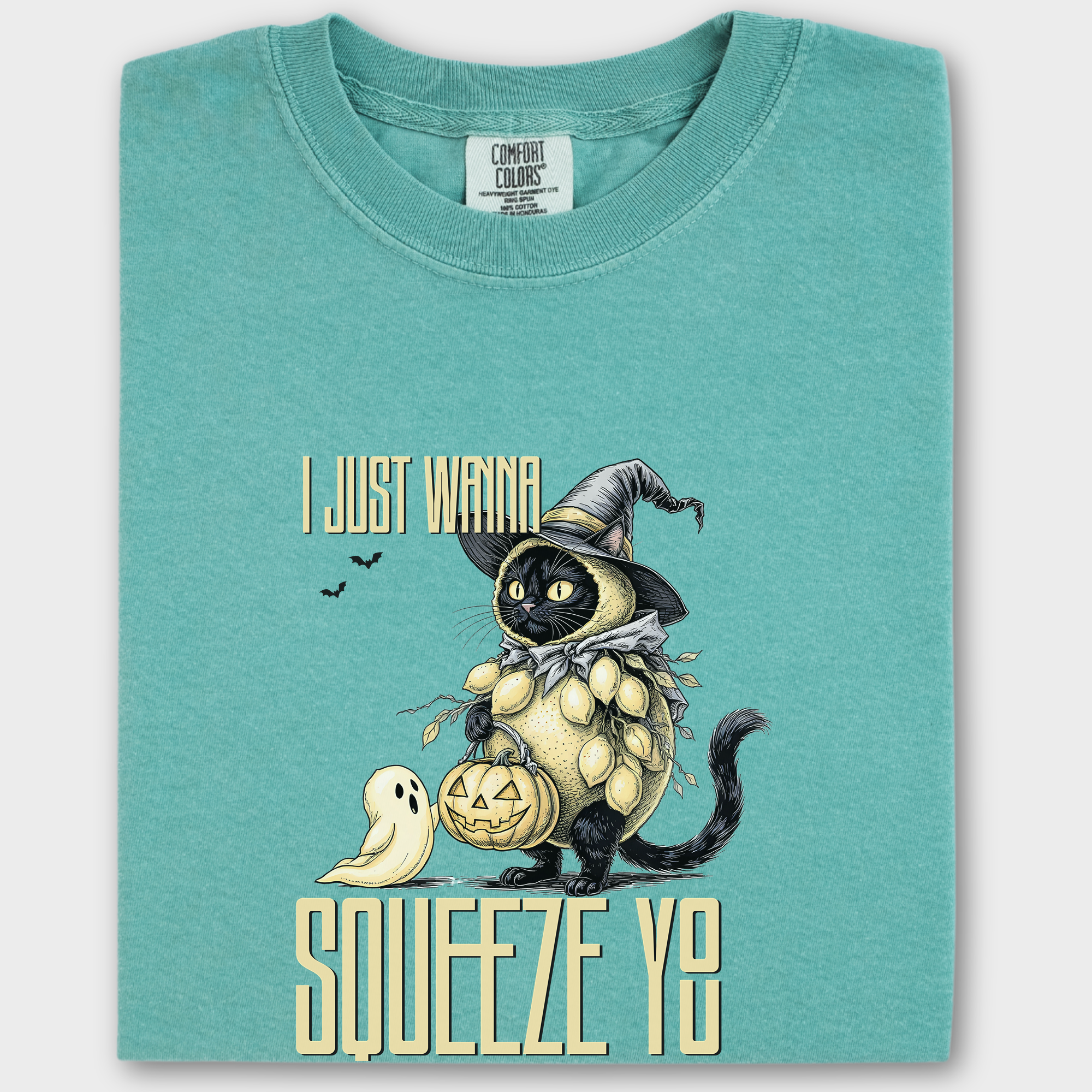 Line Art I Just Wanna Squeeze You Lemon Trick-or-Treater Cat Graphic Comfort Colors T-Shirt in Seafoam-T-Shirt-Seafoam-Fetch N Found