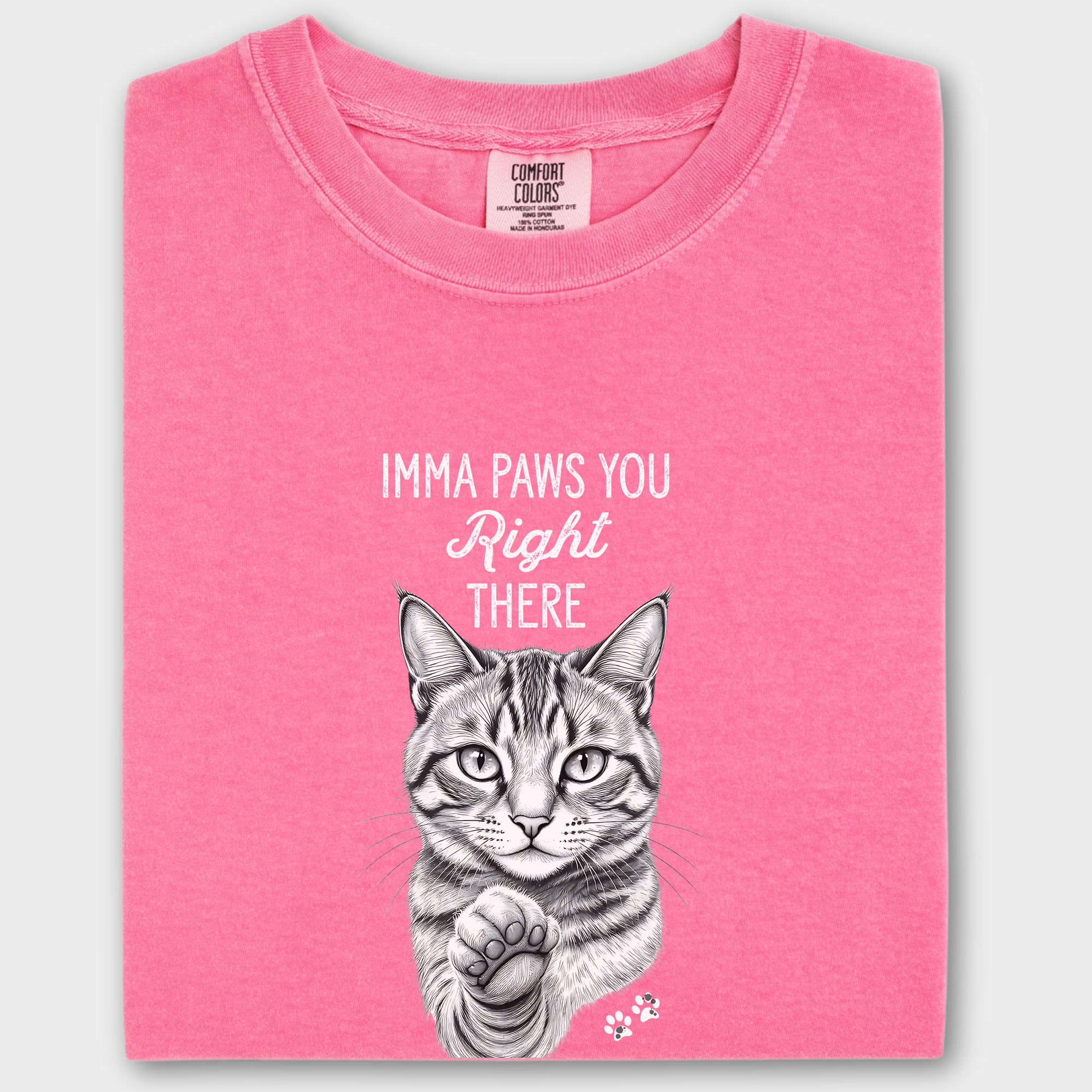 Vintage Imma Paws You Right There Cat Line Art Comfort Colors T-Shirt in Crunchberry-T-Shirt-Crunchberry-Fetch N Found