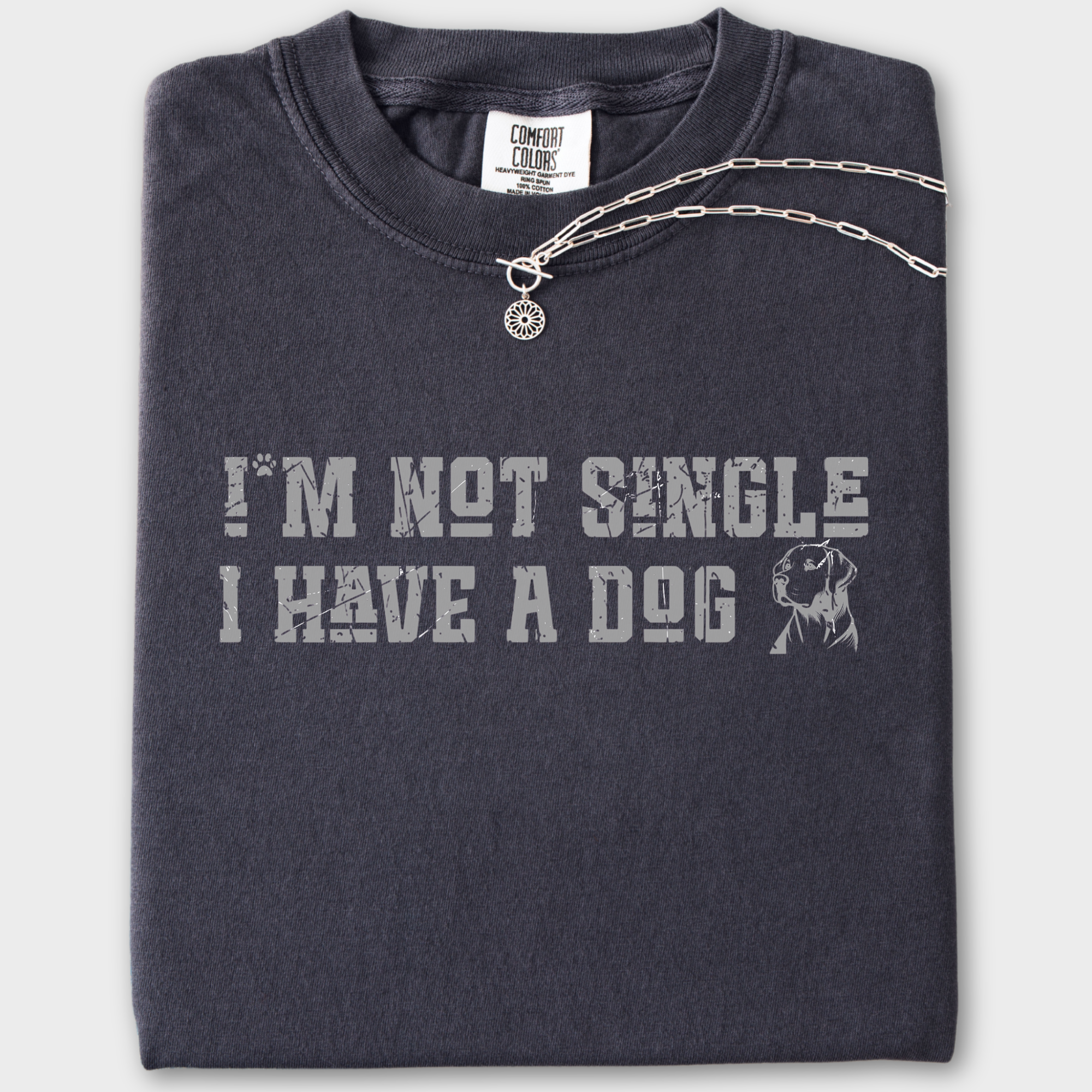 Retro I'm Not Single Dog Minimalist Comfort Colors T-Shirt in Graphite-Fetch N Found