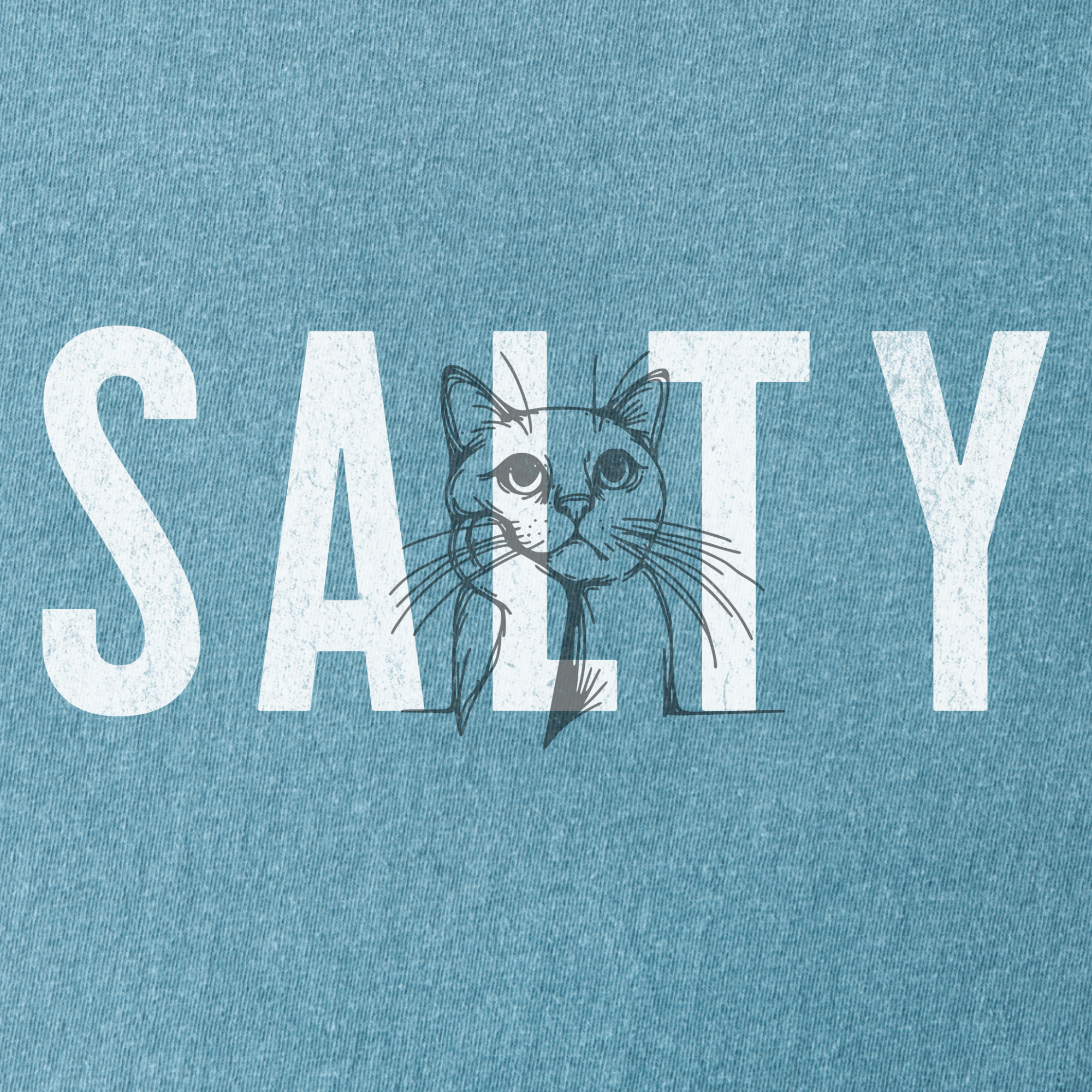 Retro Salty Cat Text Comfort Colors T-Shirt in Ice Blue