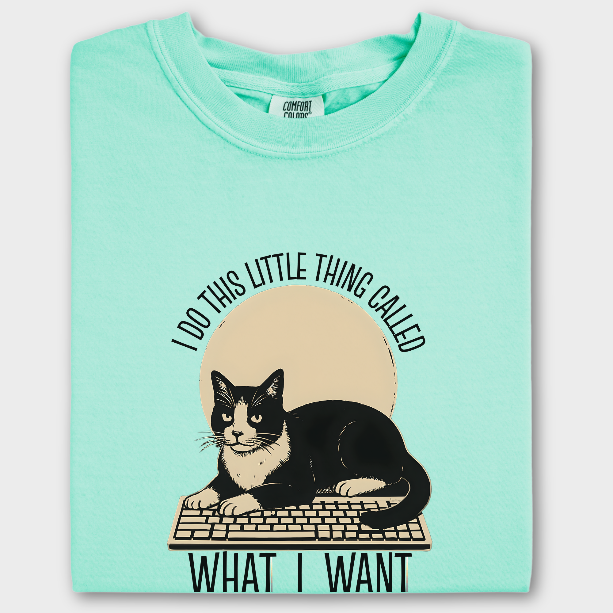 Retro I Do This Little Thing Called What I Want Cat Minimalist Comfort Colors T-Shirt in Island Reef-T-Shirt-Island Reef-Fetch N Found