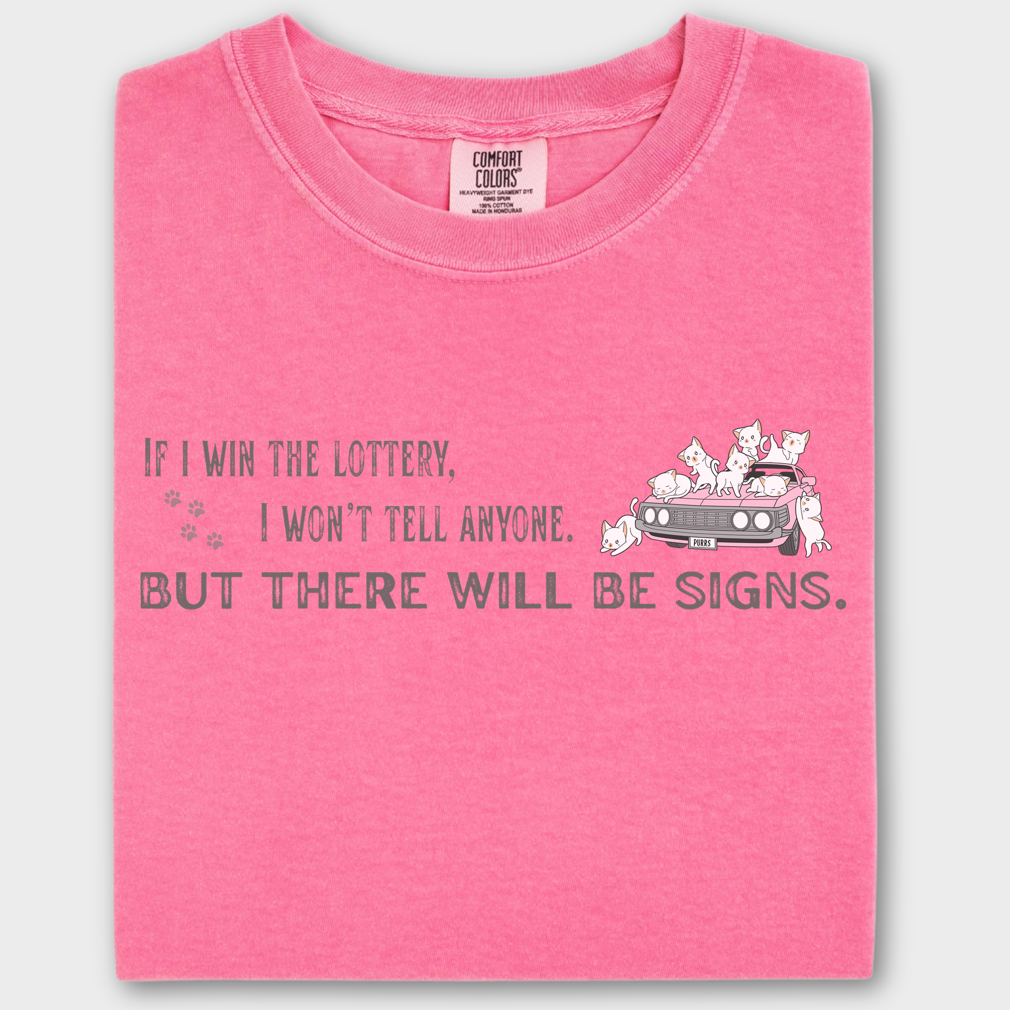 Retro If I Win the Lottery Cat Graphic Comfort Colors T-Shirt in Crunchberry-Fetch N Found