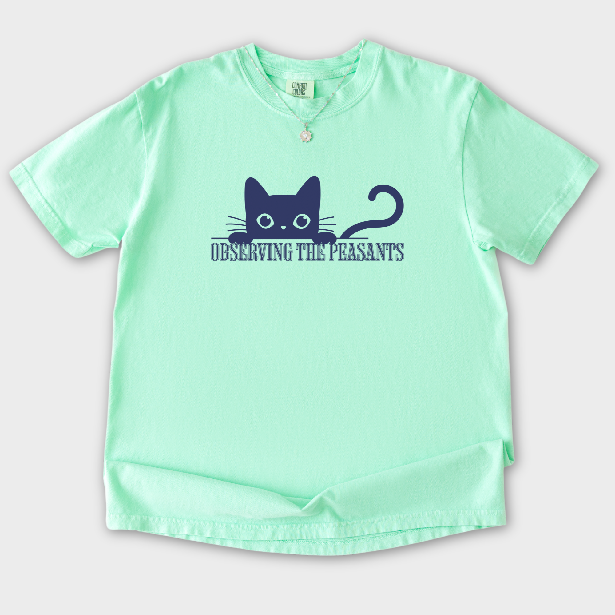 Minimalist Observing the Peasants Cat Graphic Comfort Colors T-Shirt in Island Reef-T-Shirt-Island Reef-S-Fetch N Found
