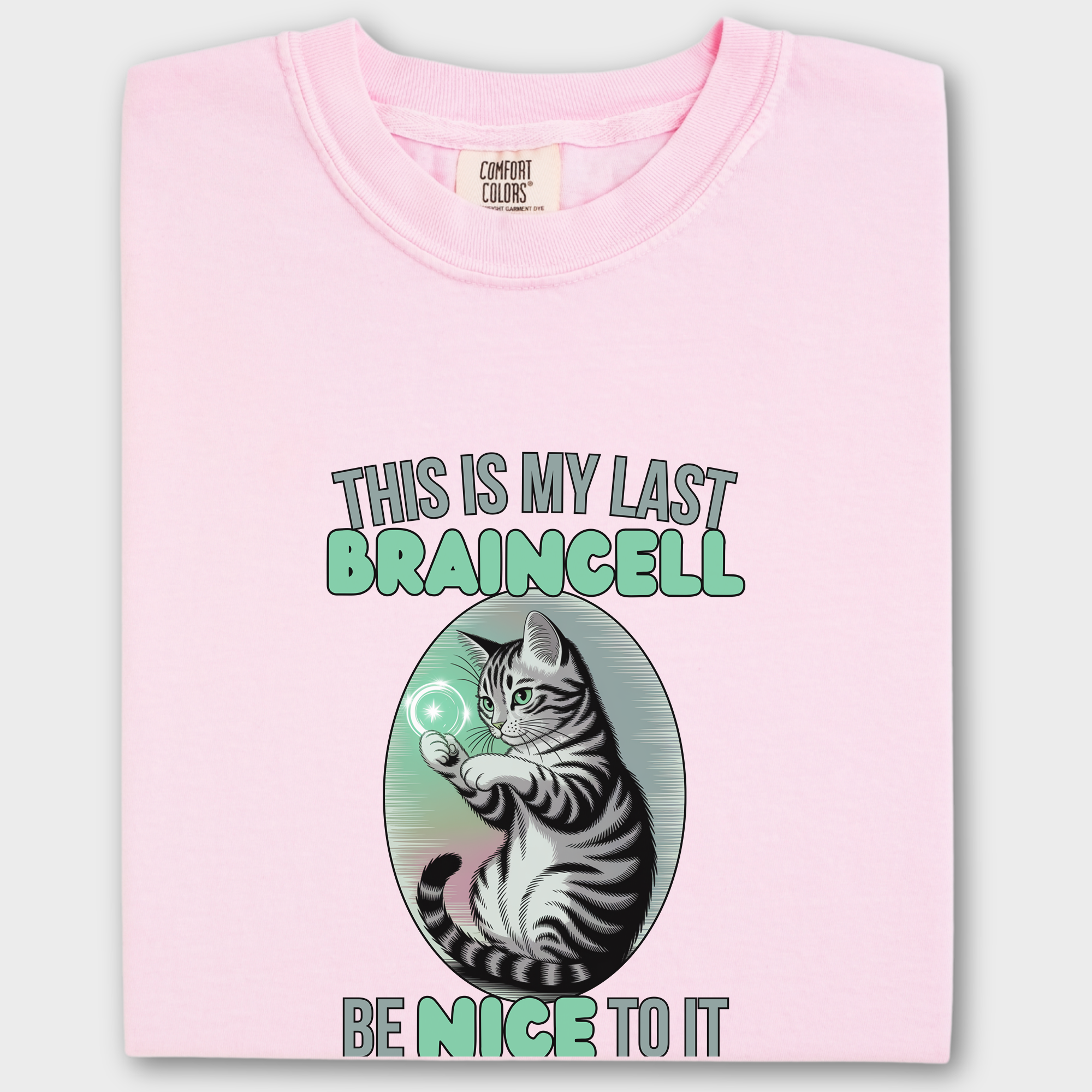 Vintage This is My Last Braincell Cat Graphic Comfort Colors T-Shirt in Blossom