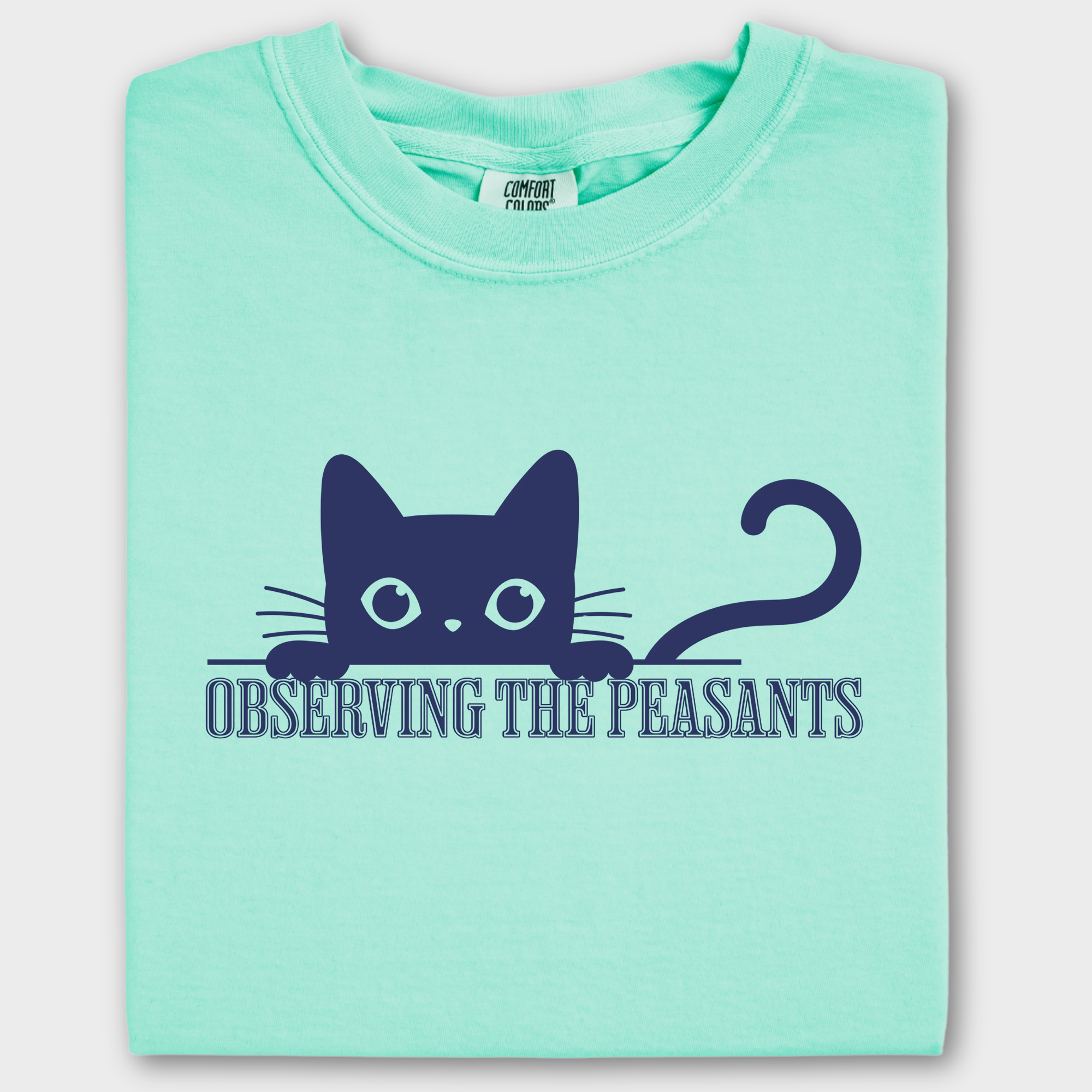 Minimalist Observing the Peasants Cat Graphic Comfort Colors T-Shirt in Island Reef-T-Shirt-Island Reef-Fetch N Found
