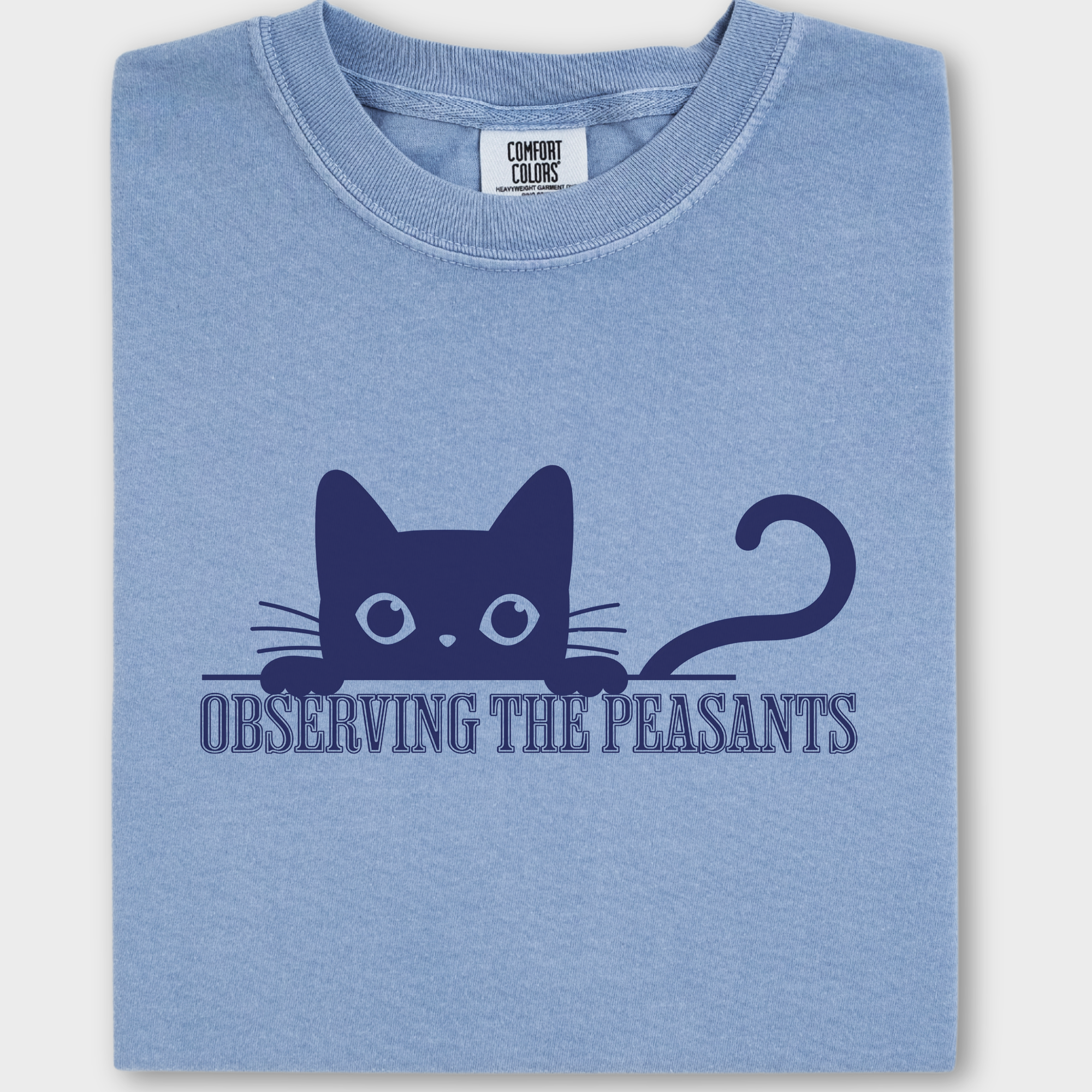 Minimalist Observing the Peasants Cat Graphic Comfort Colors T-Shirt in Washed Denim-T-Shirt-Washed Denim-Fetch N Found