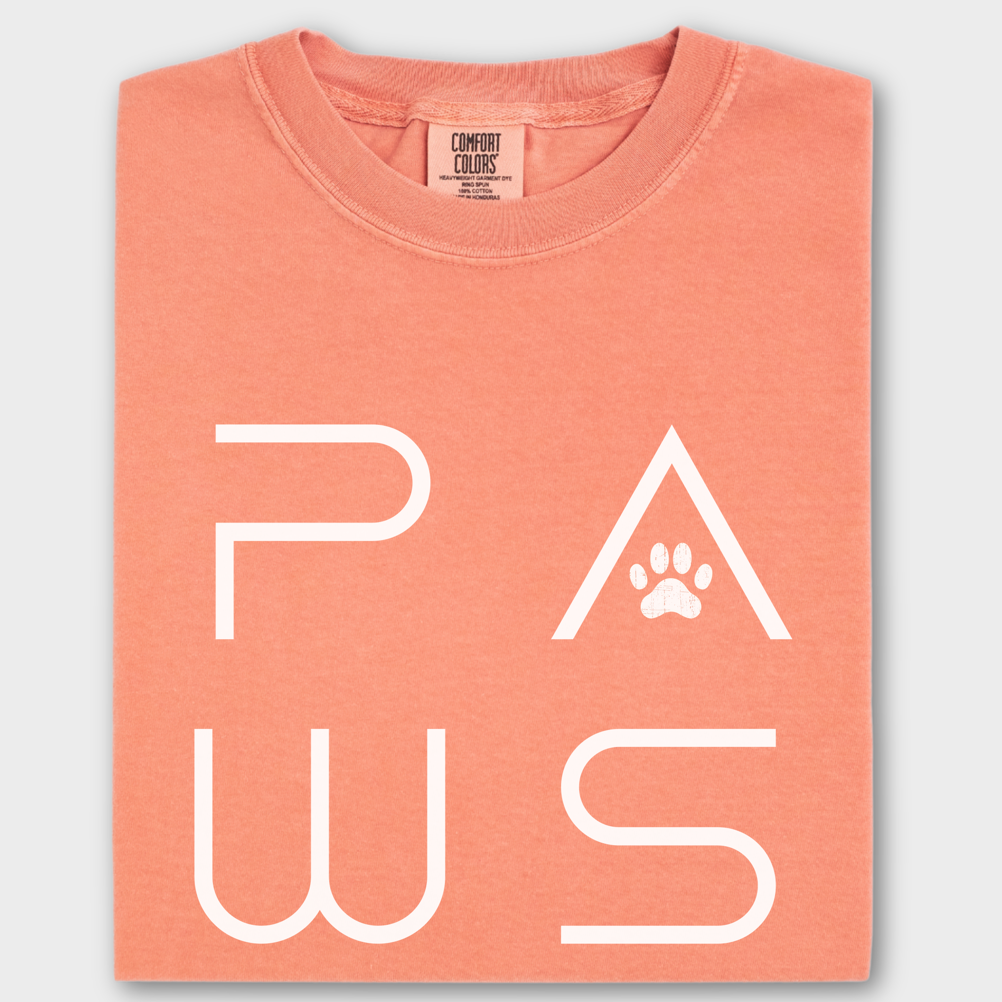 Minimalist PAWS Modern Text Design Pet Text Comfort Colors T-Shirt in Terracotta-Fetch N Found