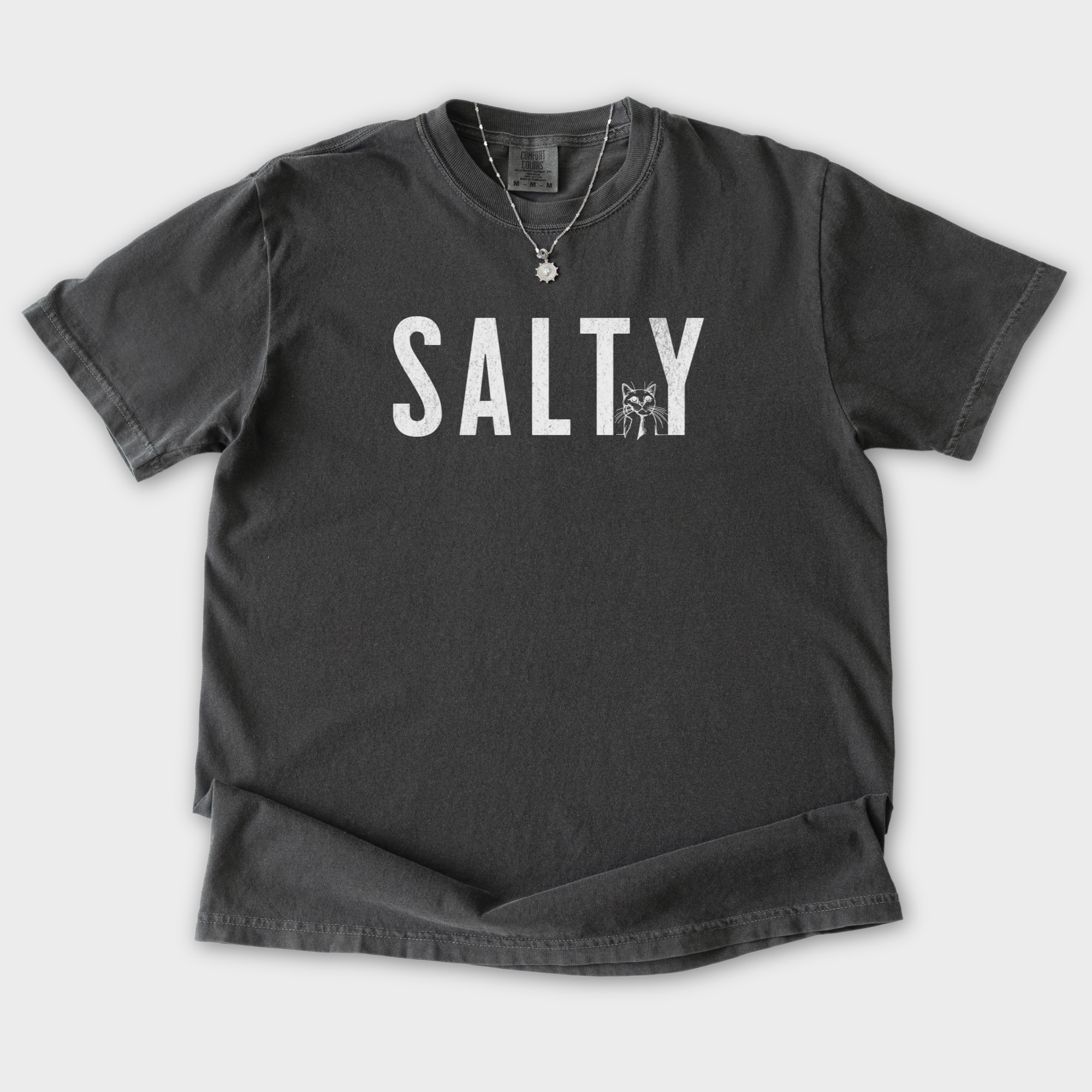 Retro Salty Minimalist Cat Text Comfort Colors T-Shirt in Pepper